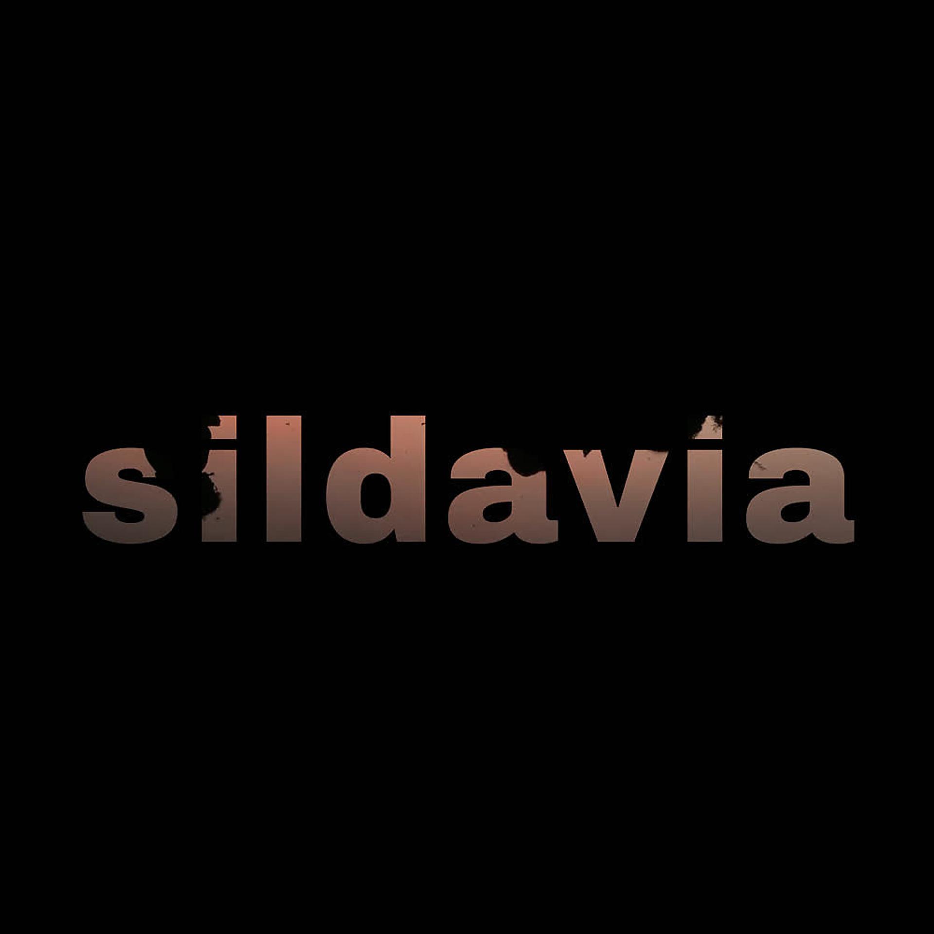 Постер альбома Sildavia