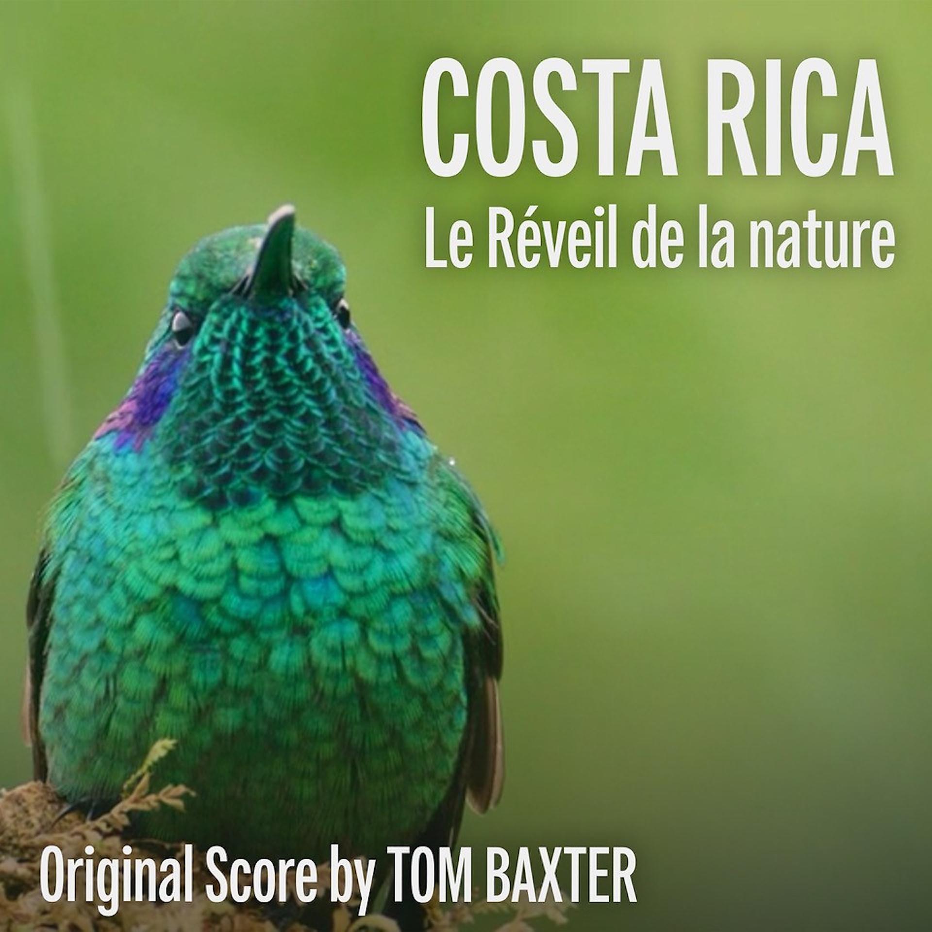 Постер альбома Costa Rica : Le réveil de la nature