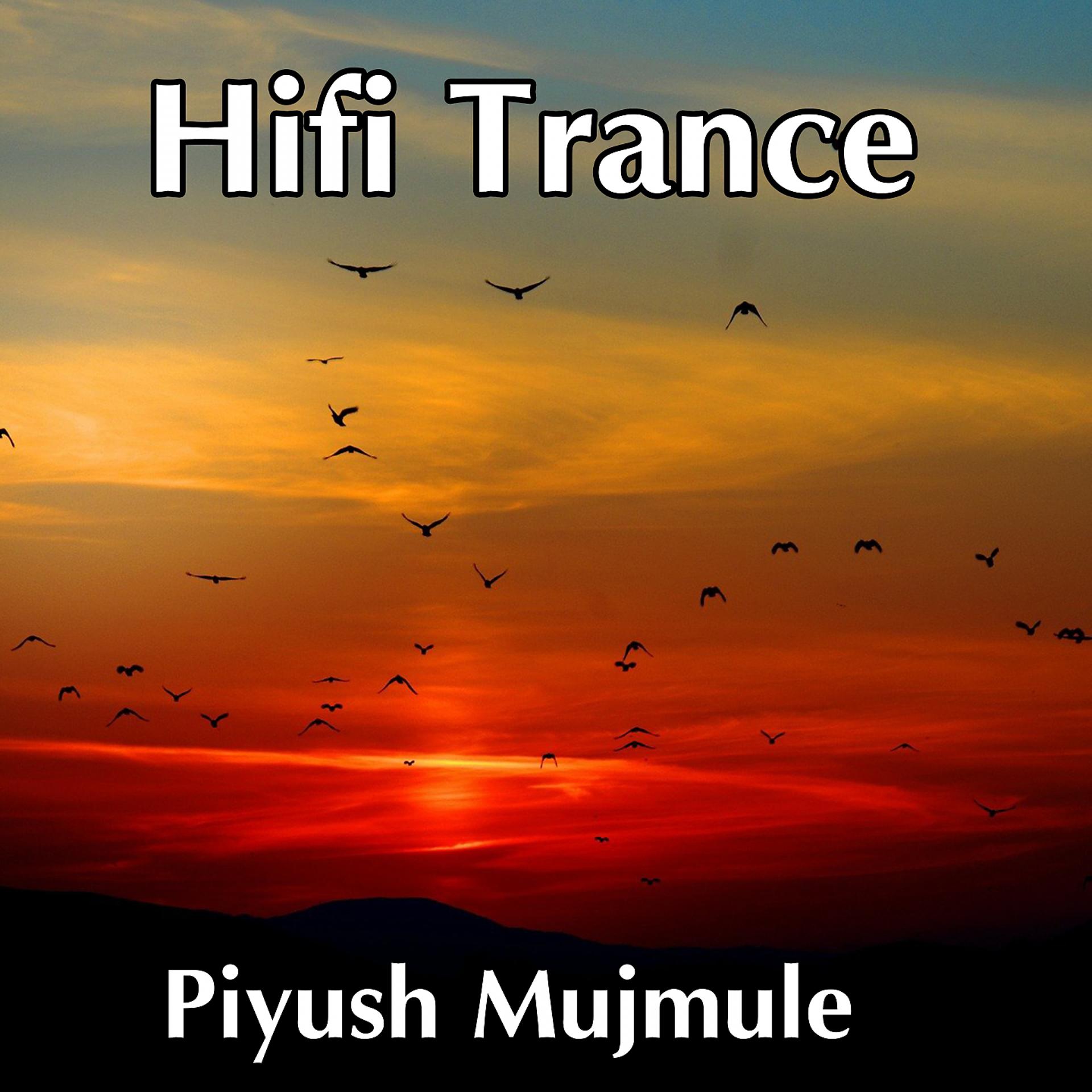 Постер альбома Hifi Trance