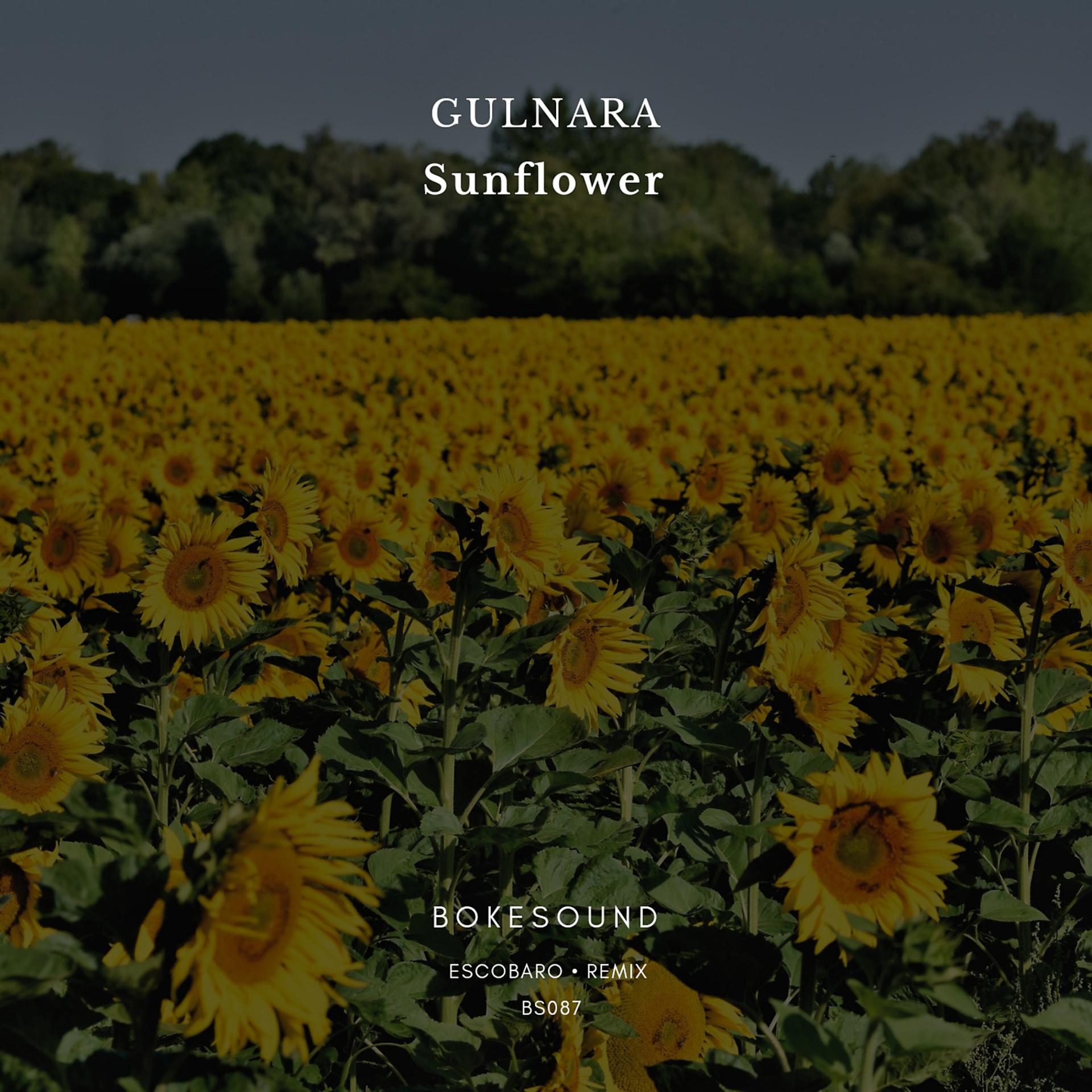 Постер альбома Sunflower