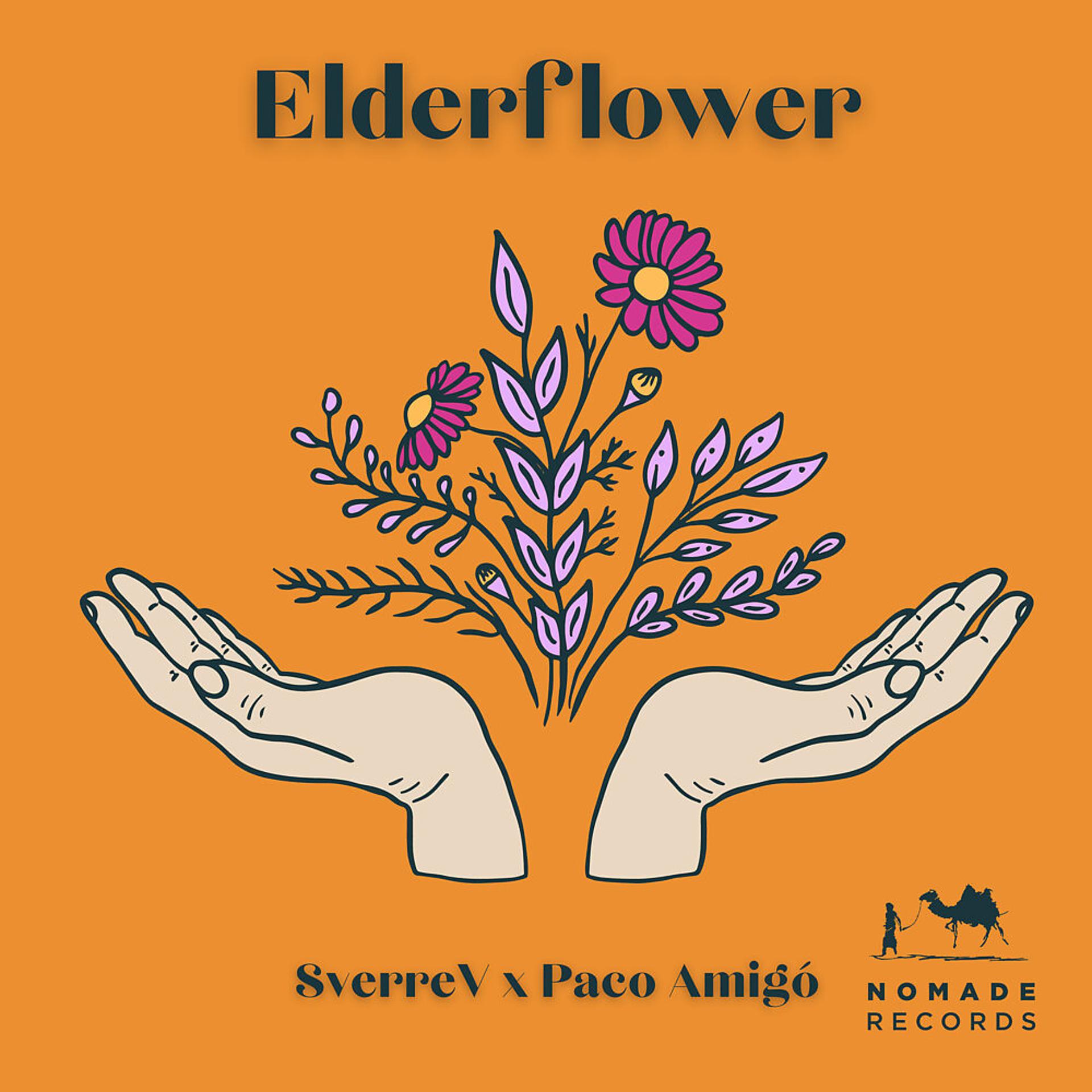 Постер альбома Elderflower