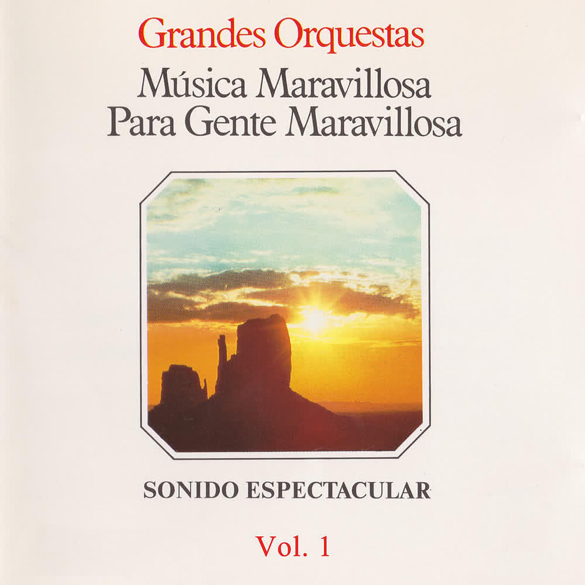 Постер альбома Música Maravillosa para Gente Maravillosa. Sonido Espectacular (Vol. 1)