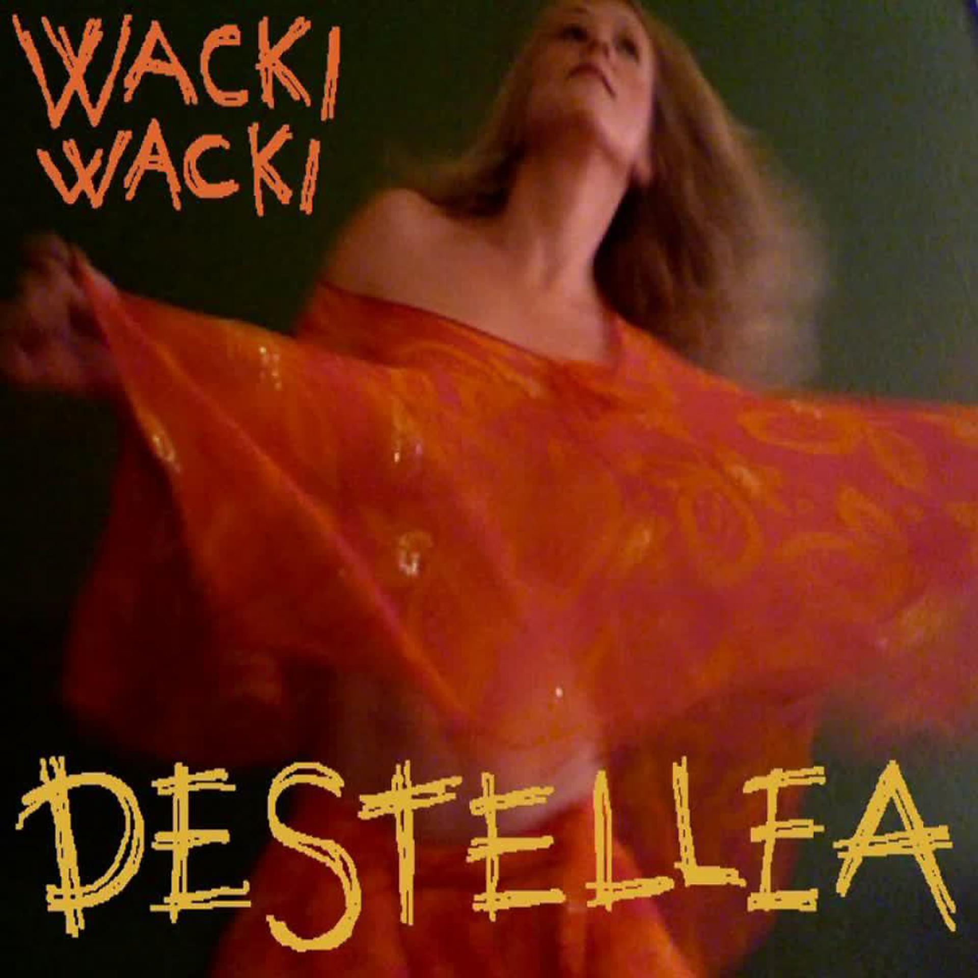 Постер альбома Wacki Wacki