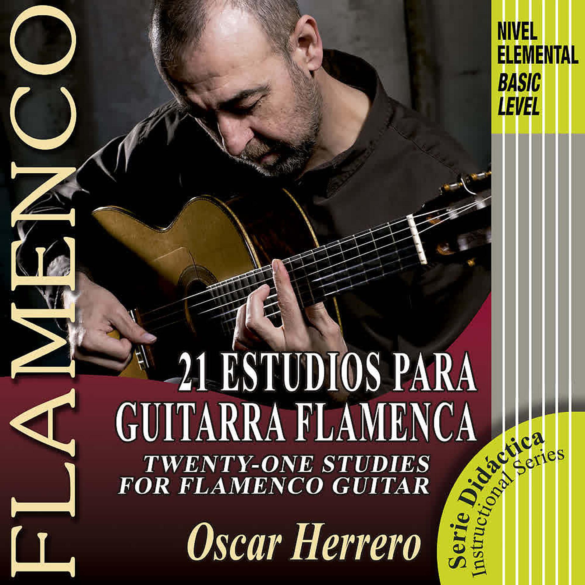 Постер альбома 21 Estudios para Guitarra Flamenca (Nivel Elemental)