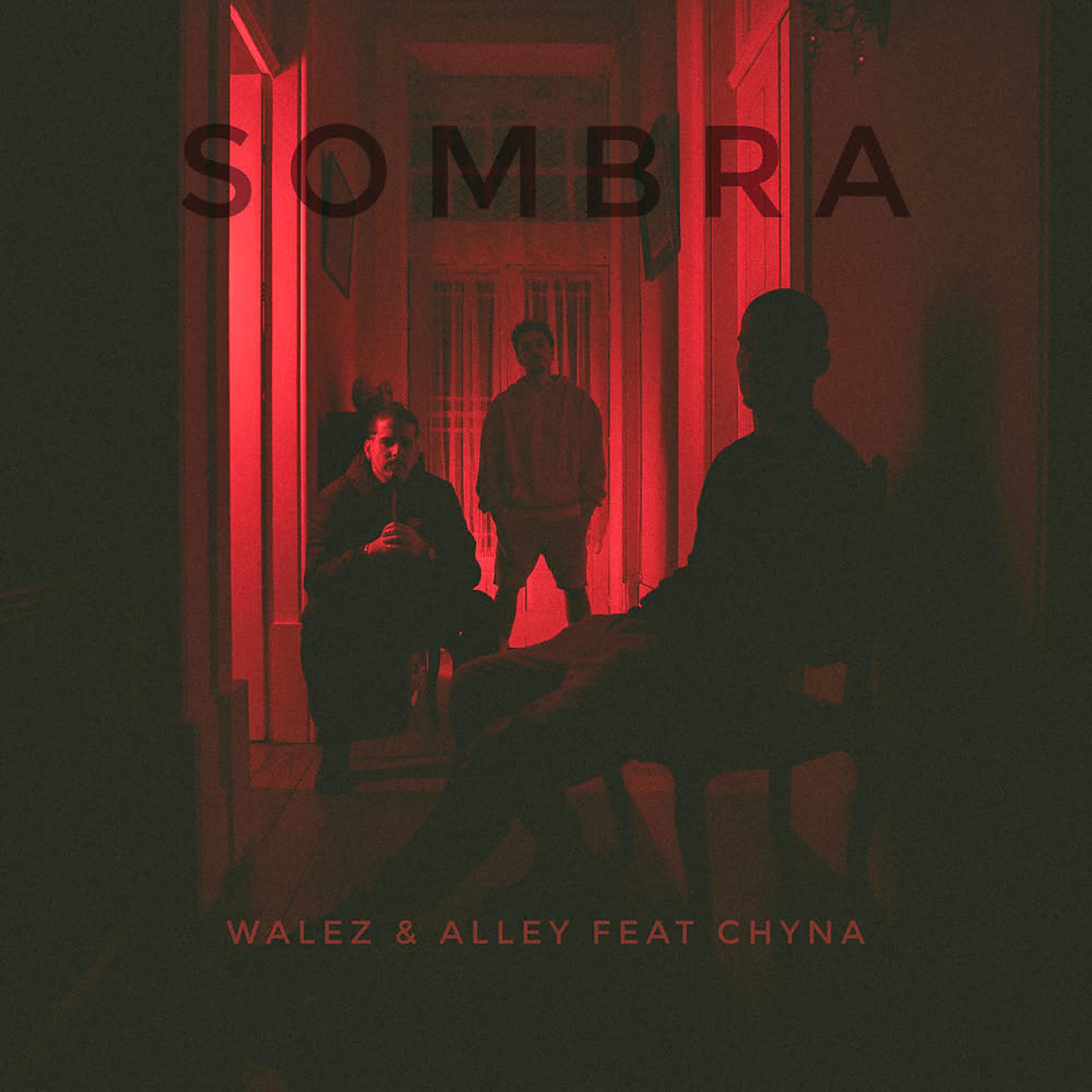 Постер альбома Sombra