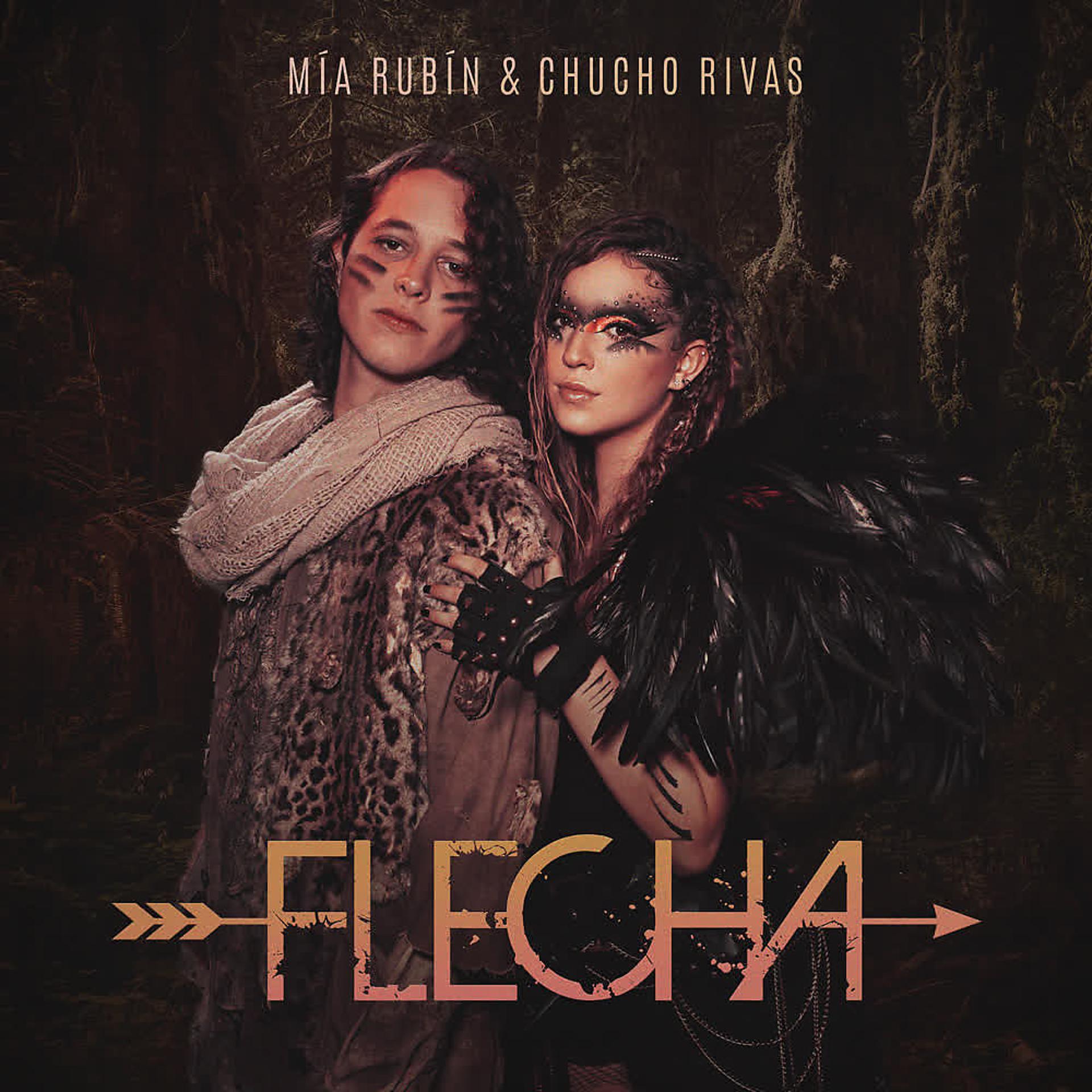 Постер альбома Flecha