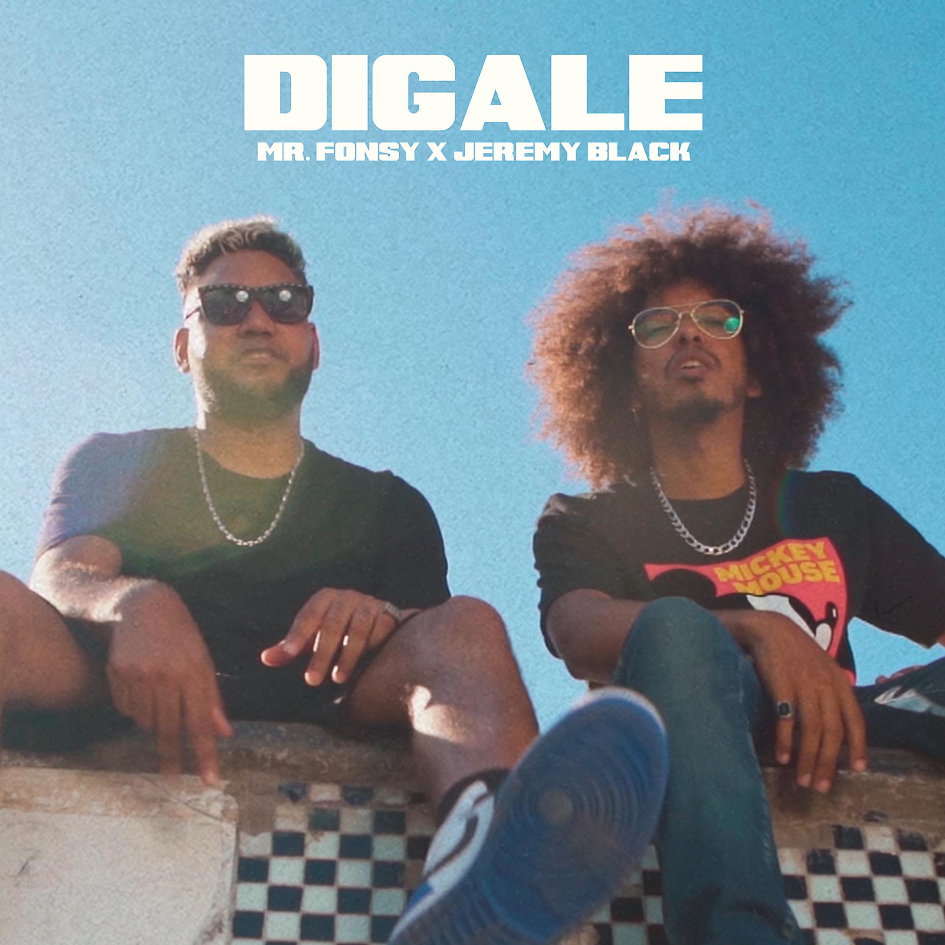 Постер альбома Digale