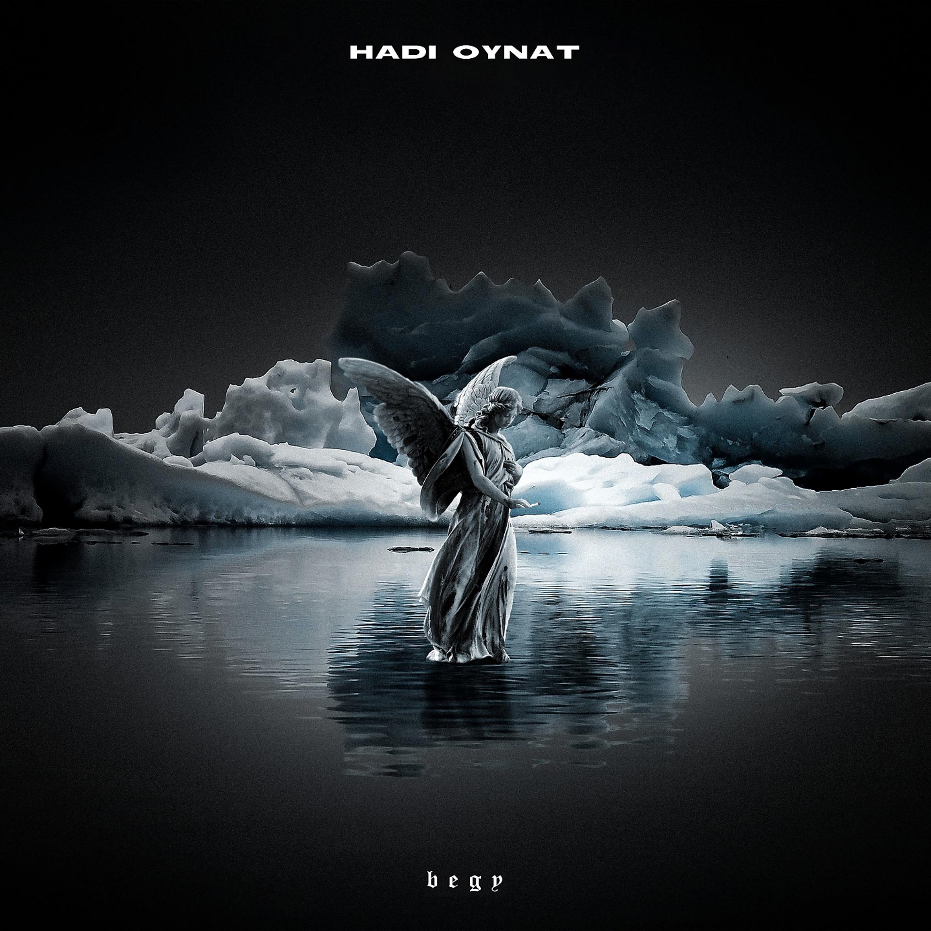 Постер альбома Hadi Oynat
