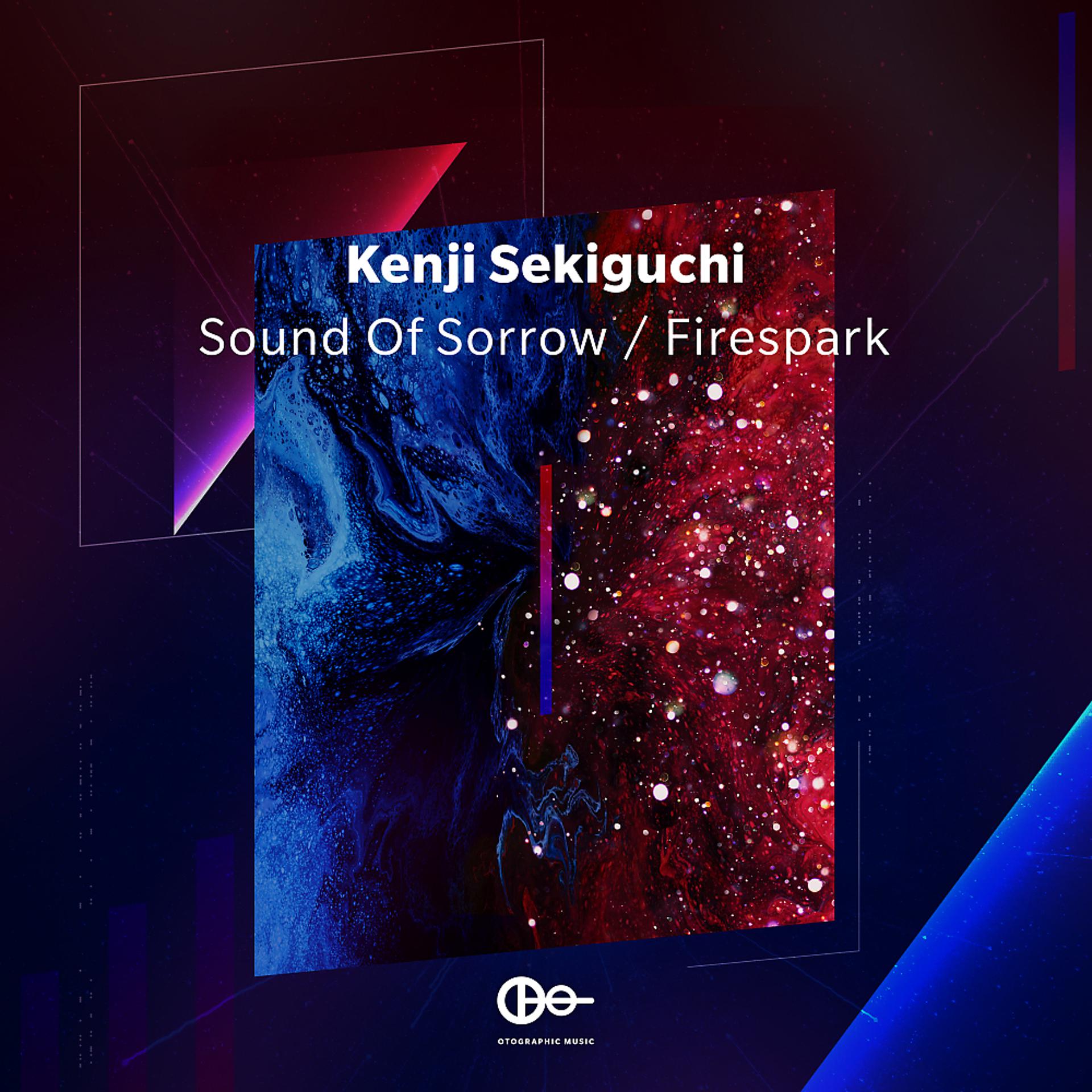 Постер альбома Sound Of Sorrow / Firespark