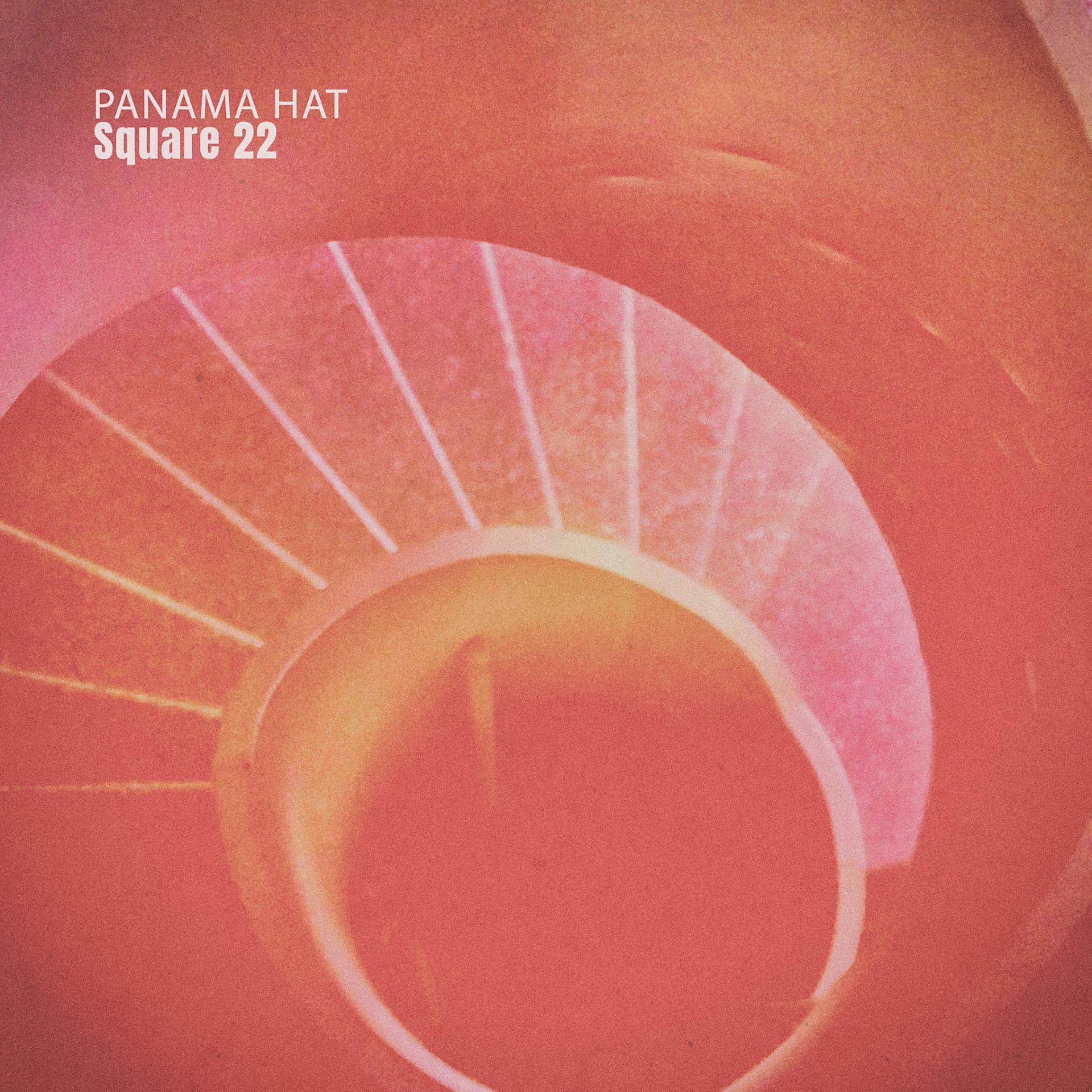 Постер альбома Panama Hat