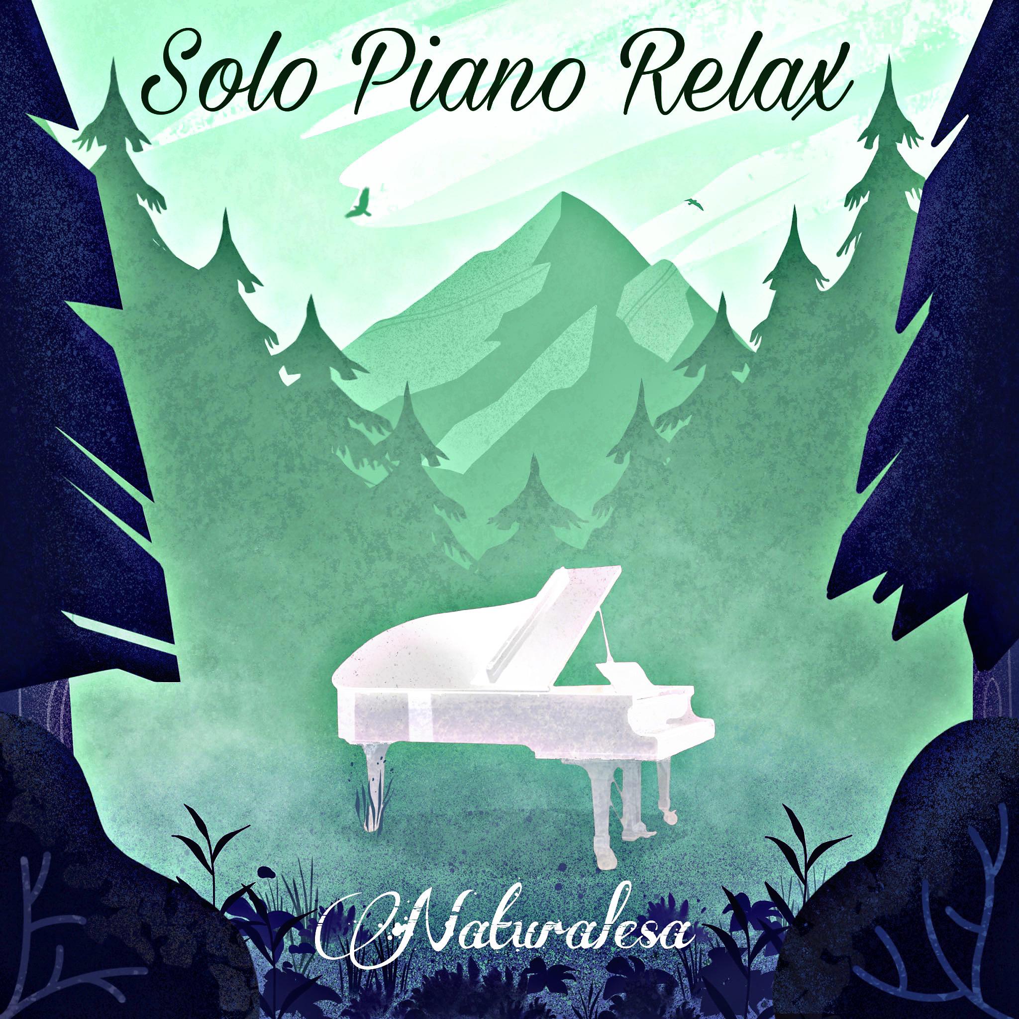 Постер альбома Solo Piano Relax