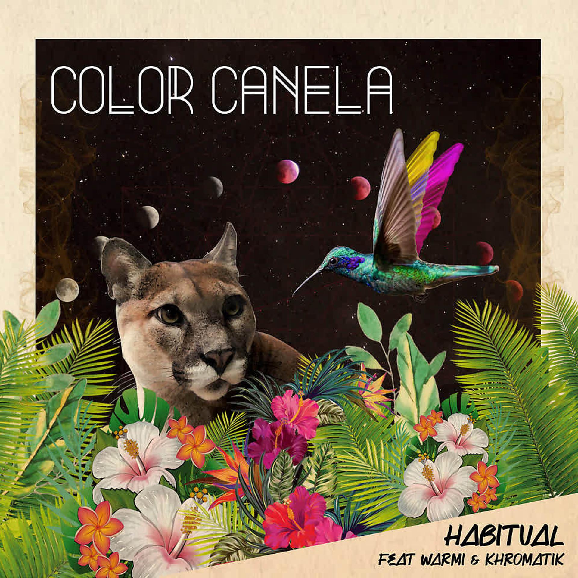 Постер альбома Color Canela