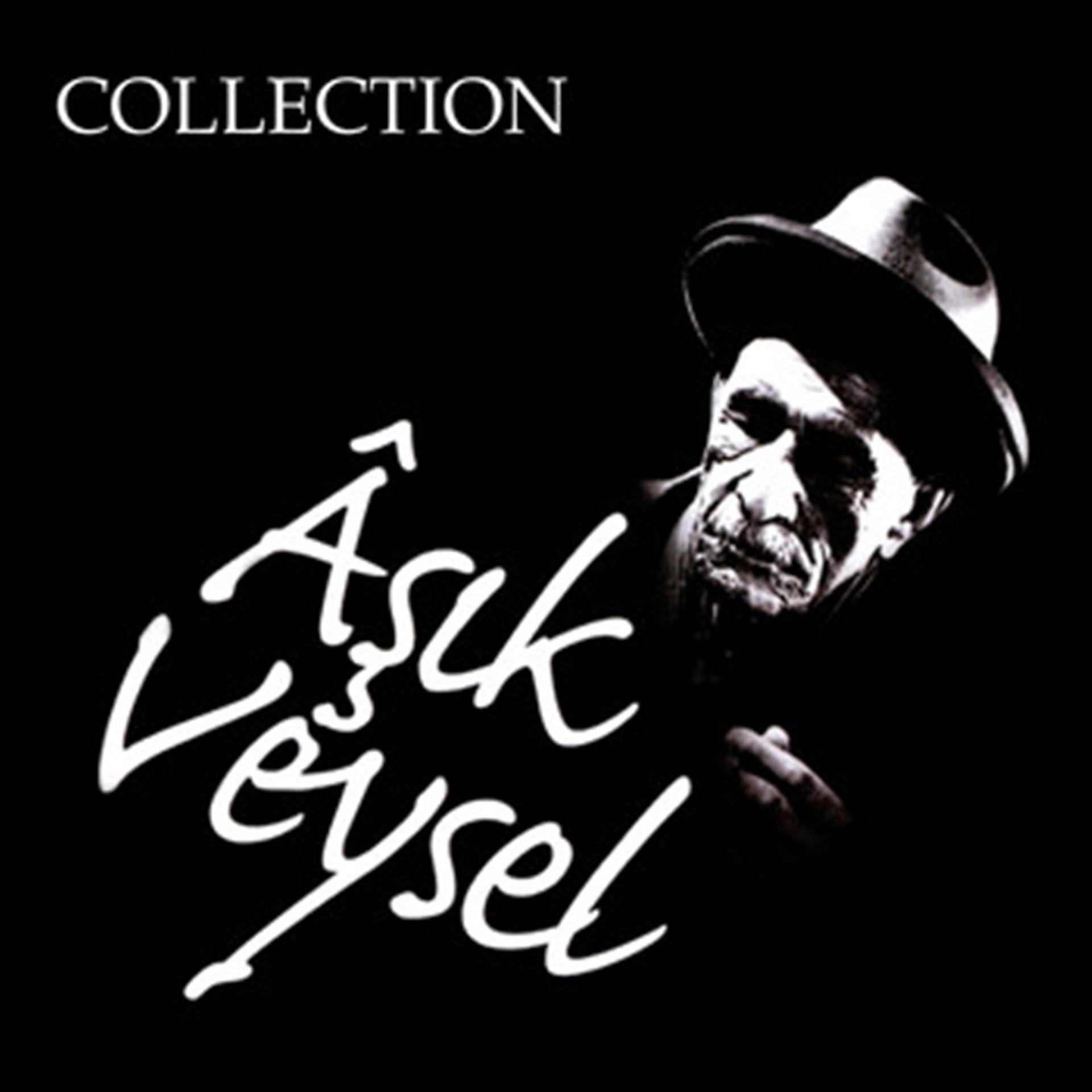 Постер альбома Aşık Veysel Collection