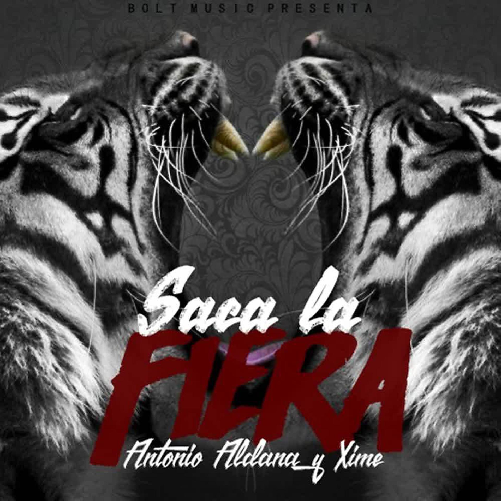 Постер альбома Saca la Fiera