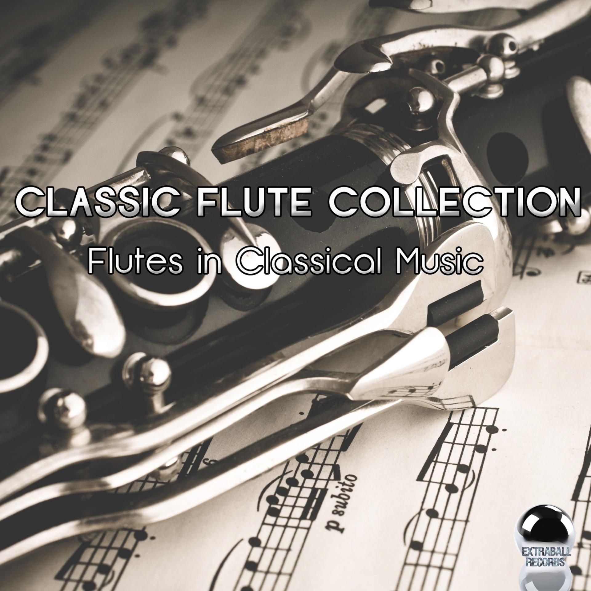 Постер альбома Classic Flute Collection: Flutes in Classical Music