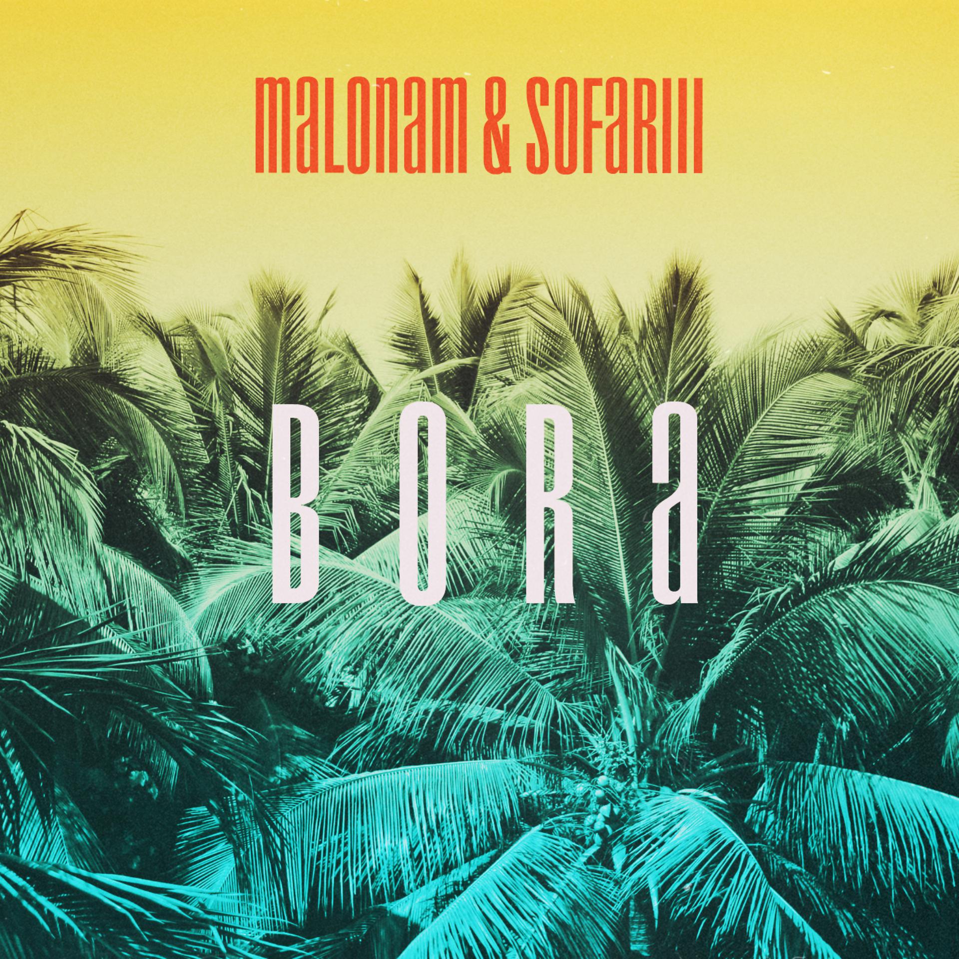 Постер альбома Bora