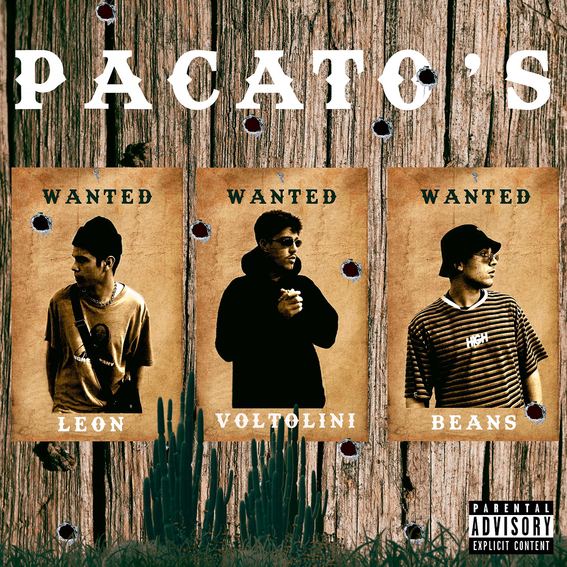 Постер альбома Pacato's