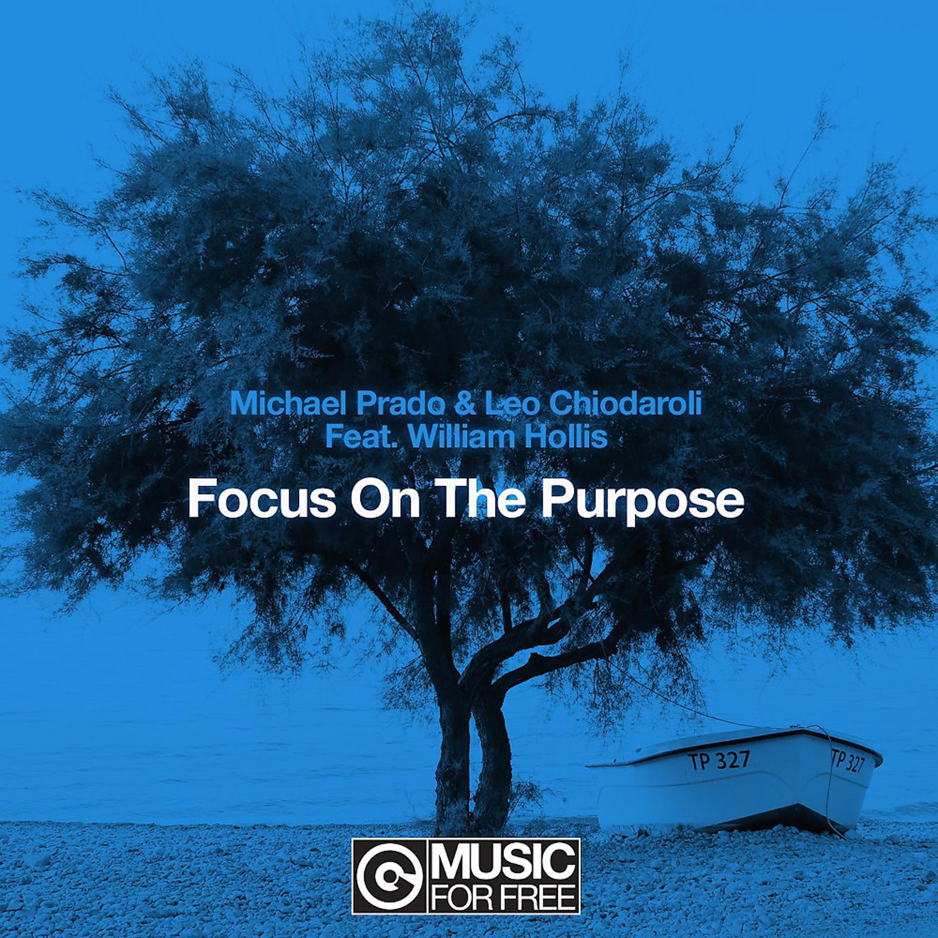 Постер альбома Focus on the Purpose