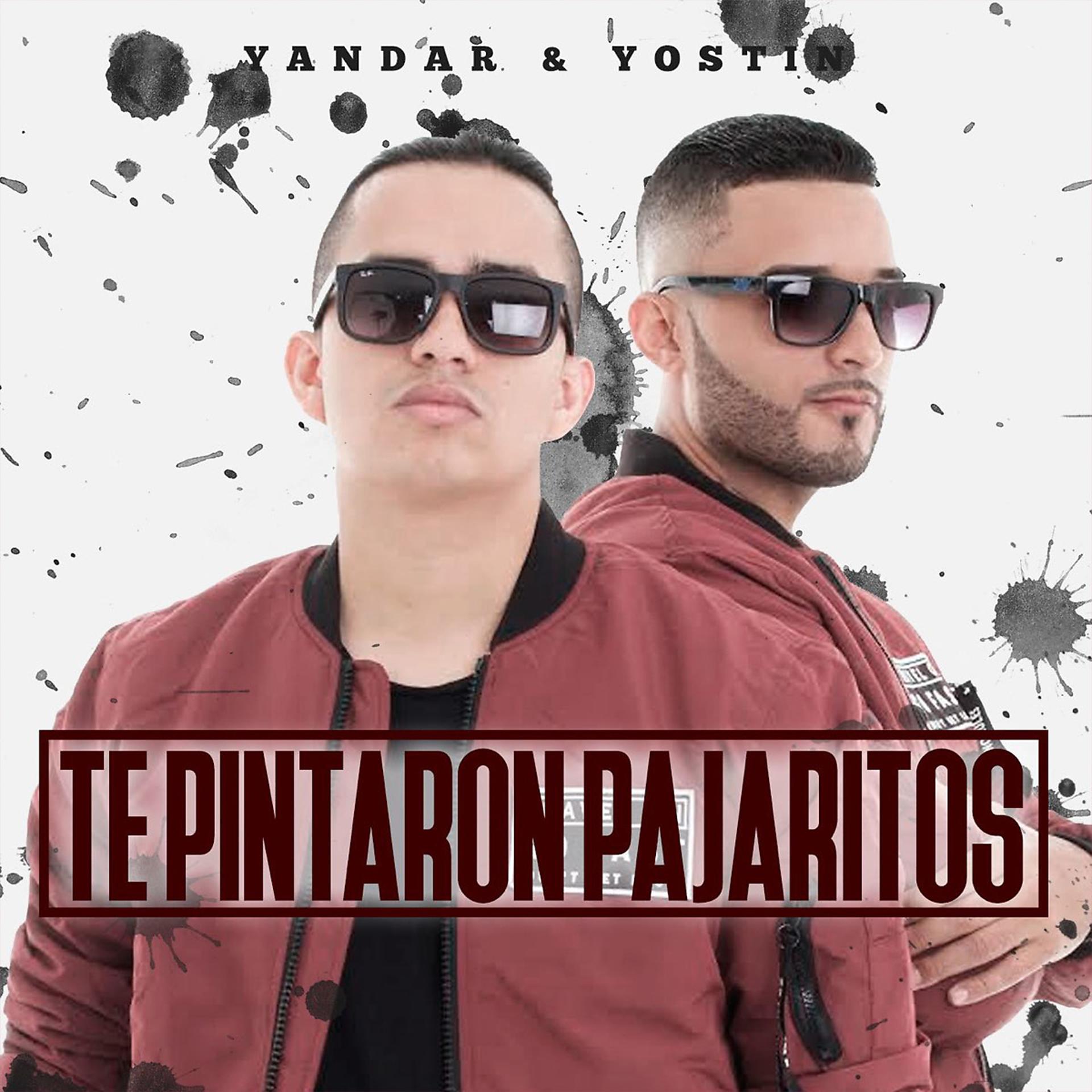 Постер альбома Te Pintaron Pajaritos