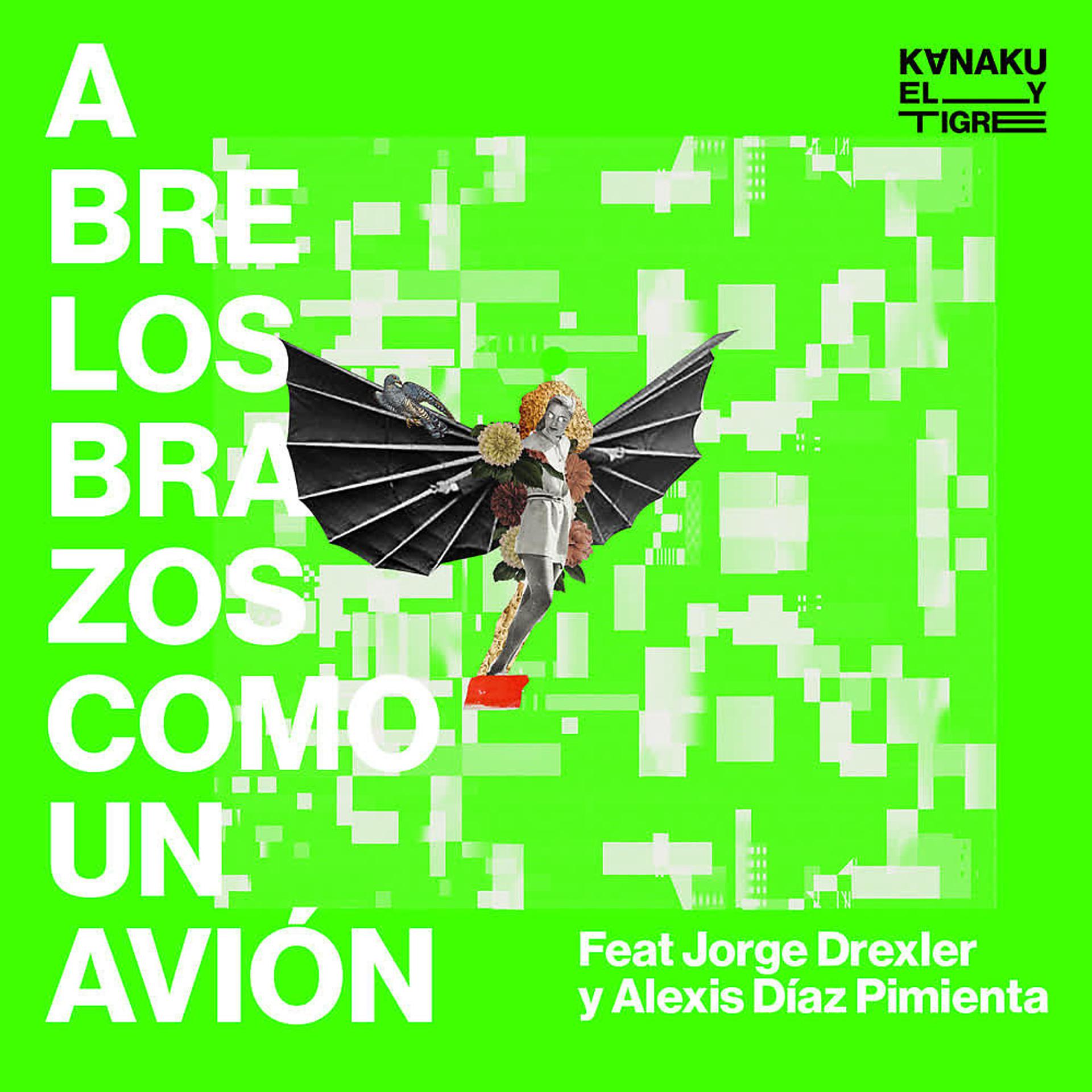 Постер альбома Abre los Brazos Como un Avión