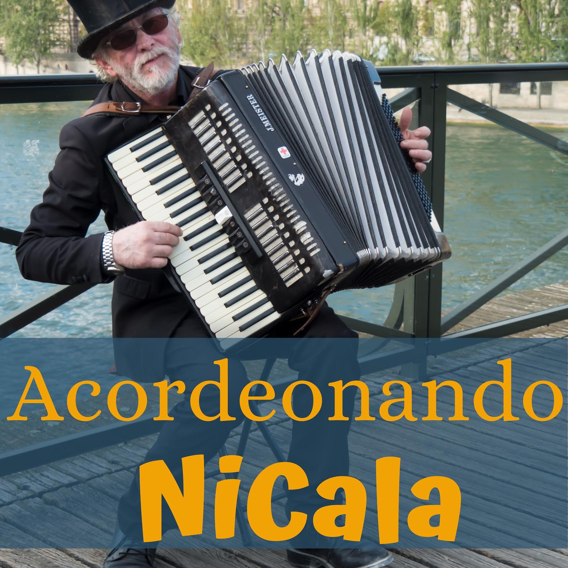 Постер альбома Acordeonando