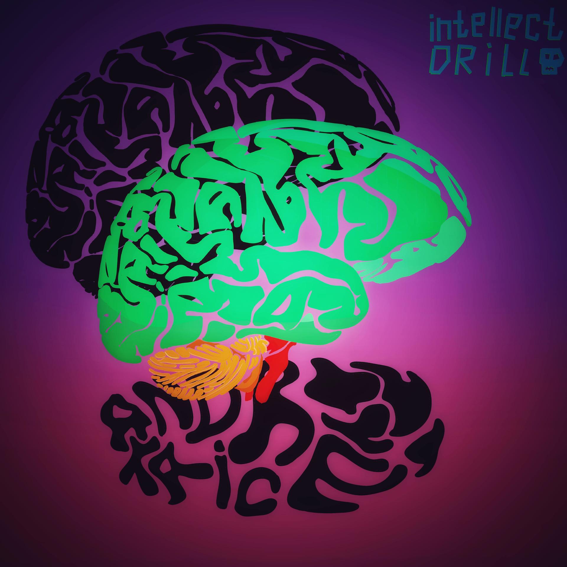 Постер альбома Intellect Drill