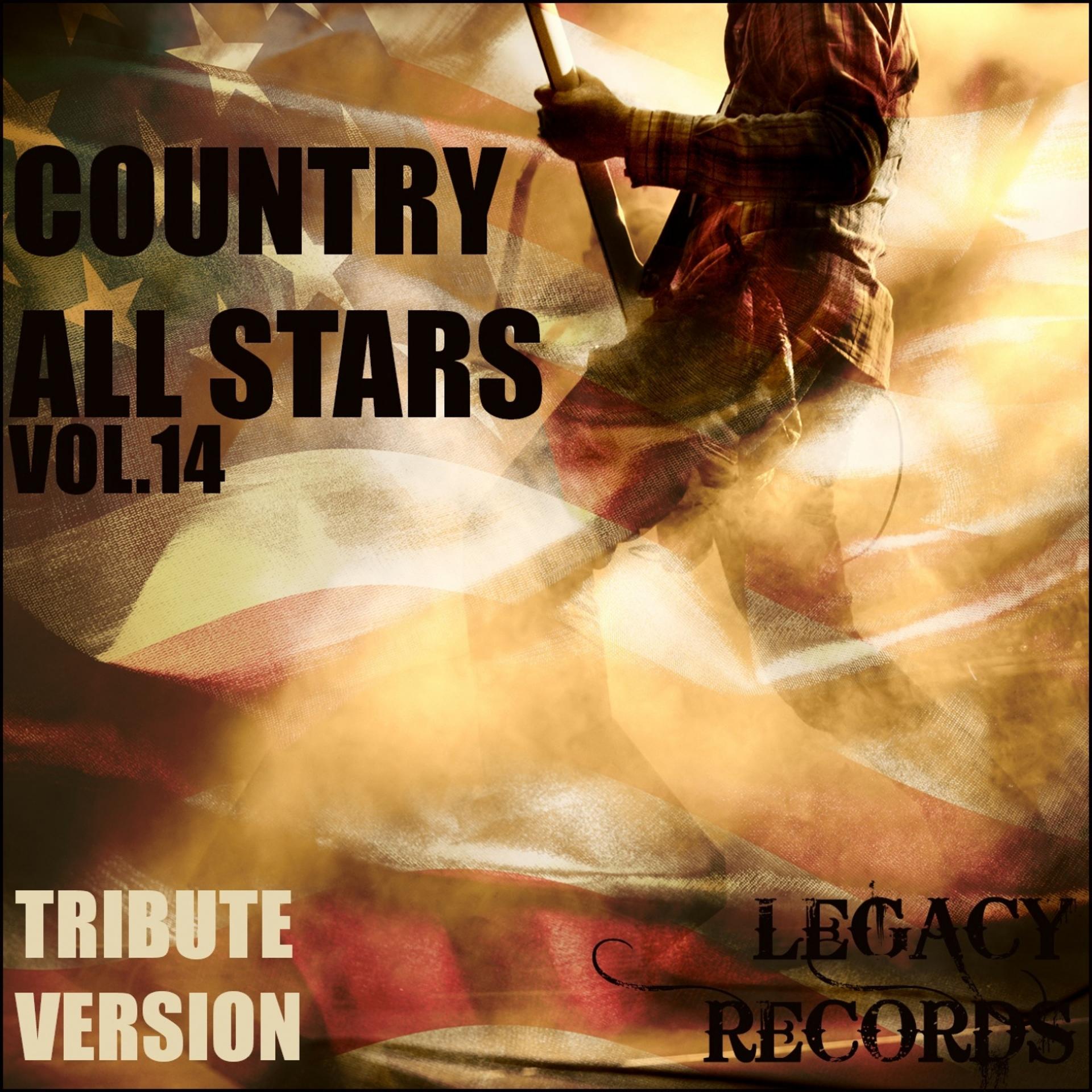 Постер альбома Country Allstars Vol. 14