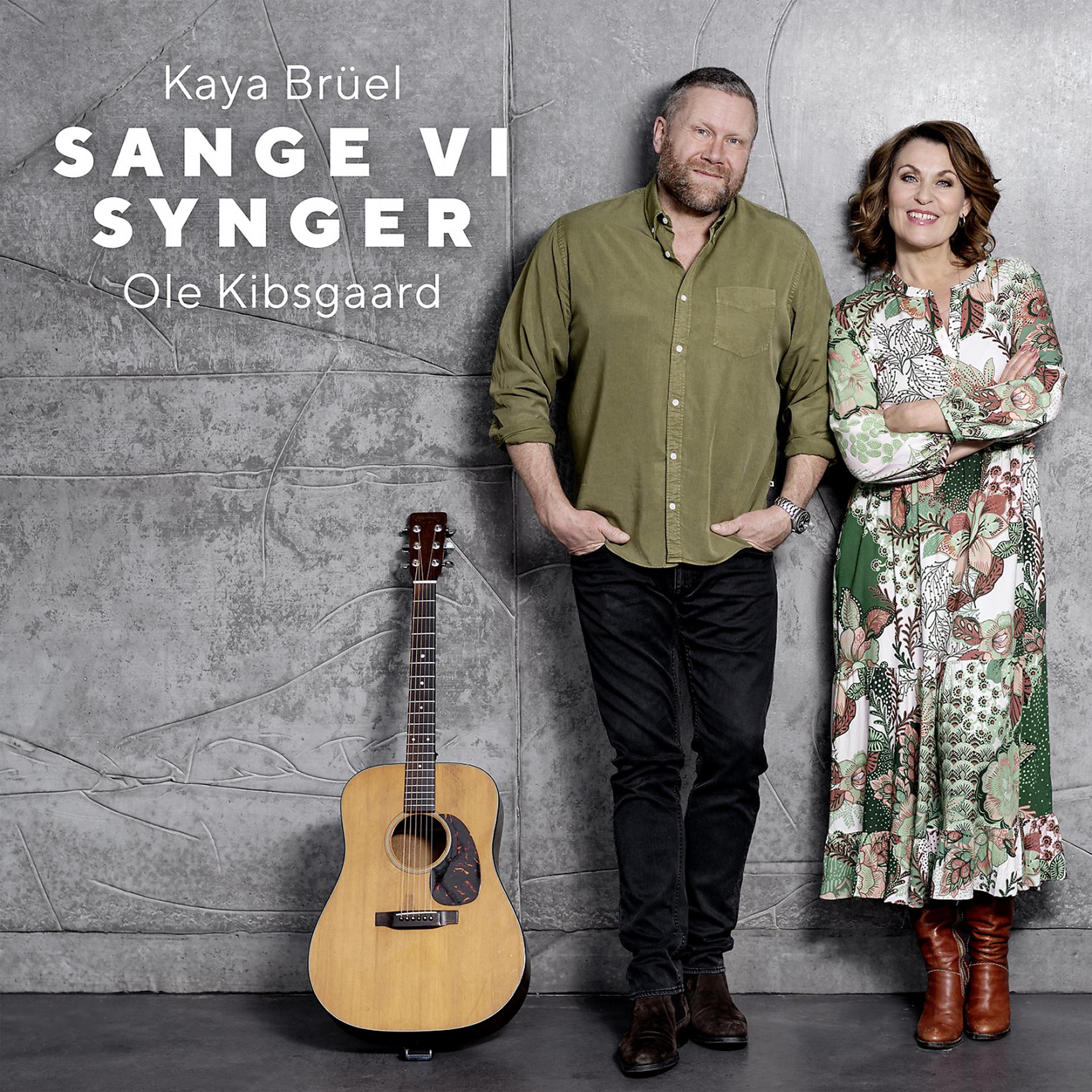 Постер альбома Sange vi synger