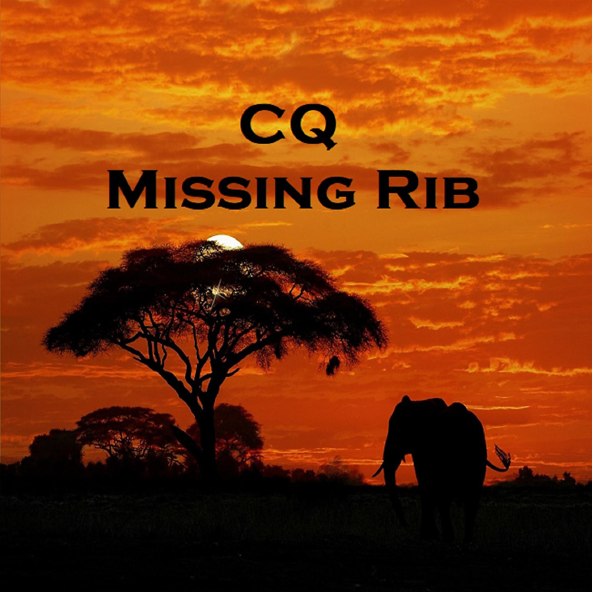 Постер альбома Missing Rib