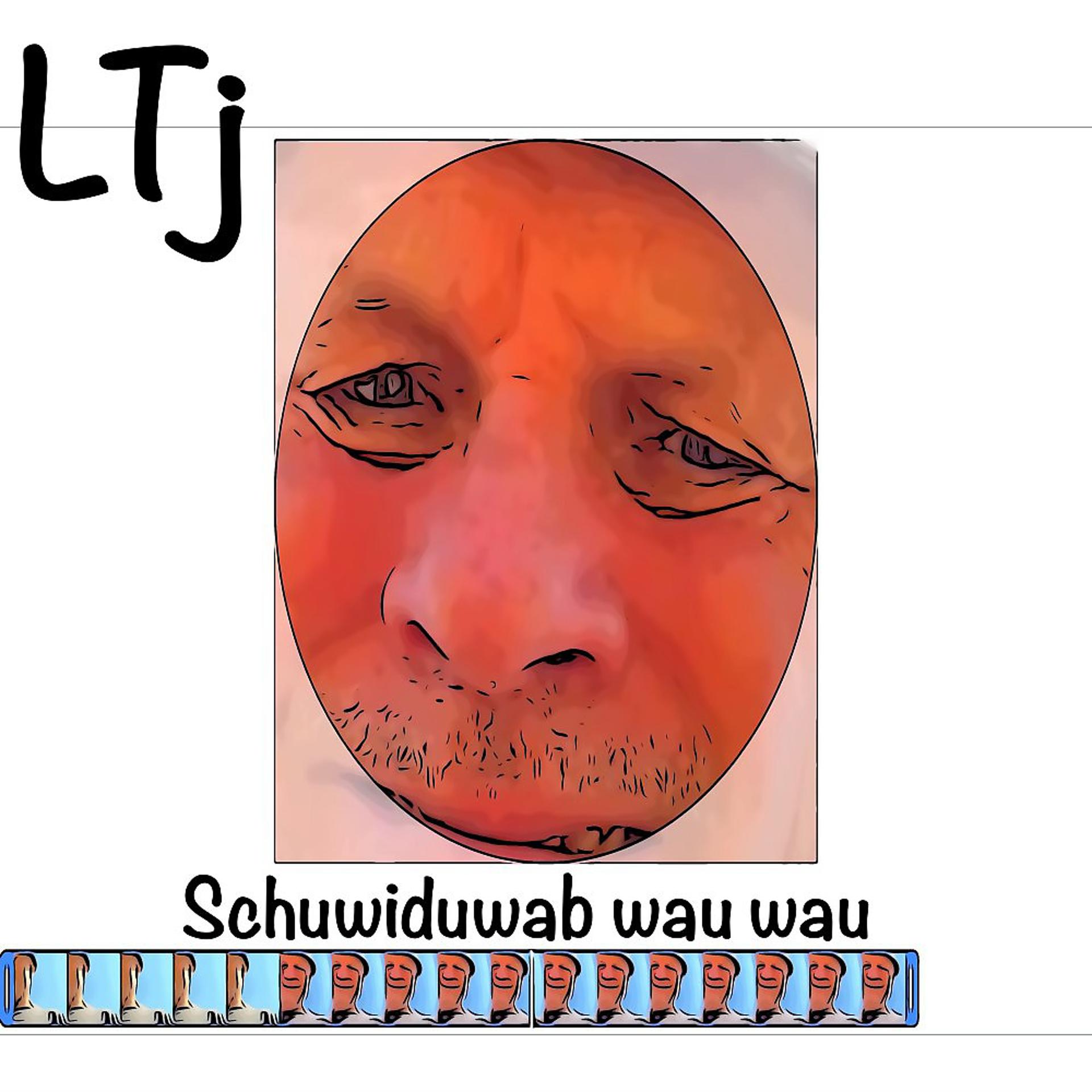 Постер альбома Schuwiduwab wau wau