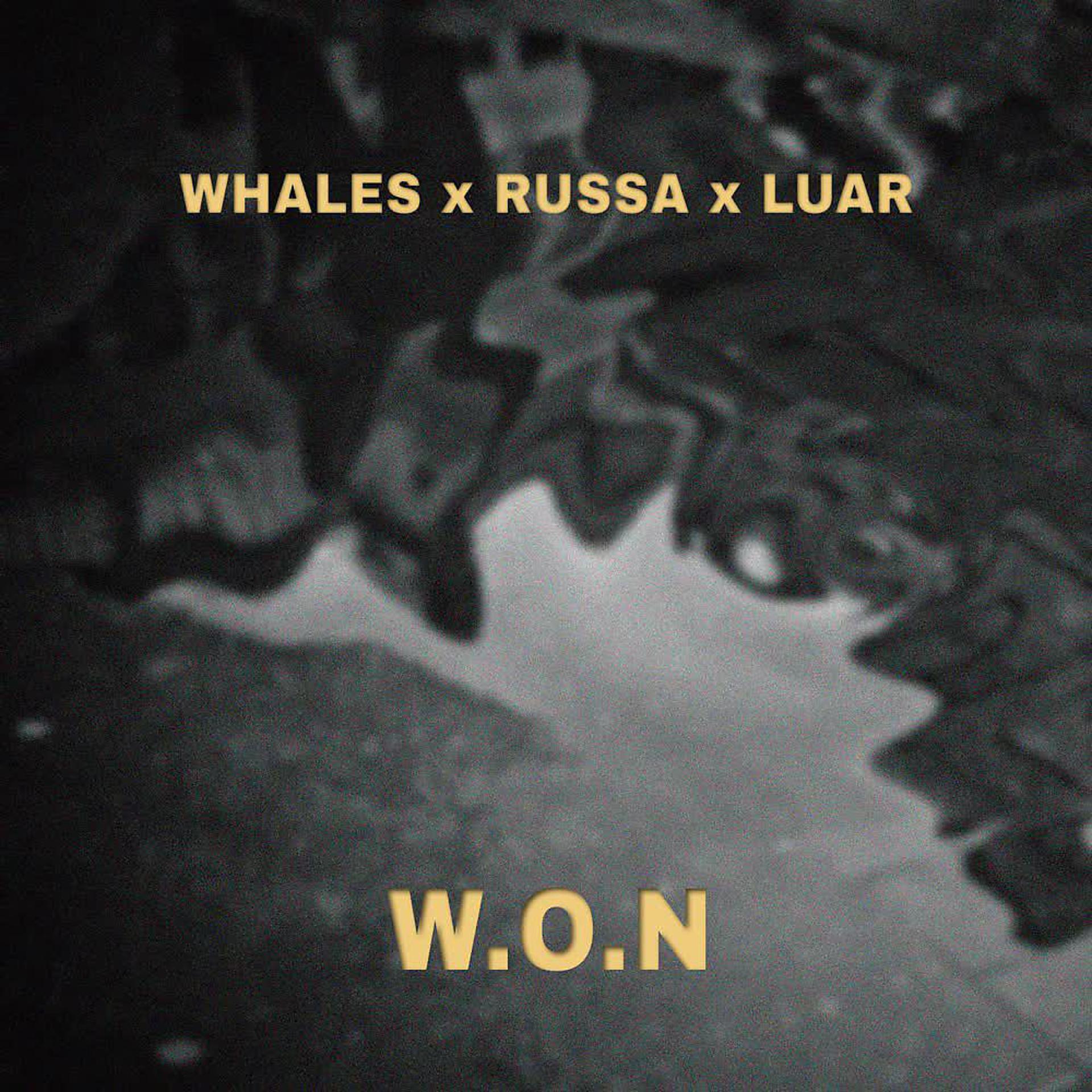 Постер альбома W.O.N