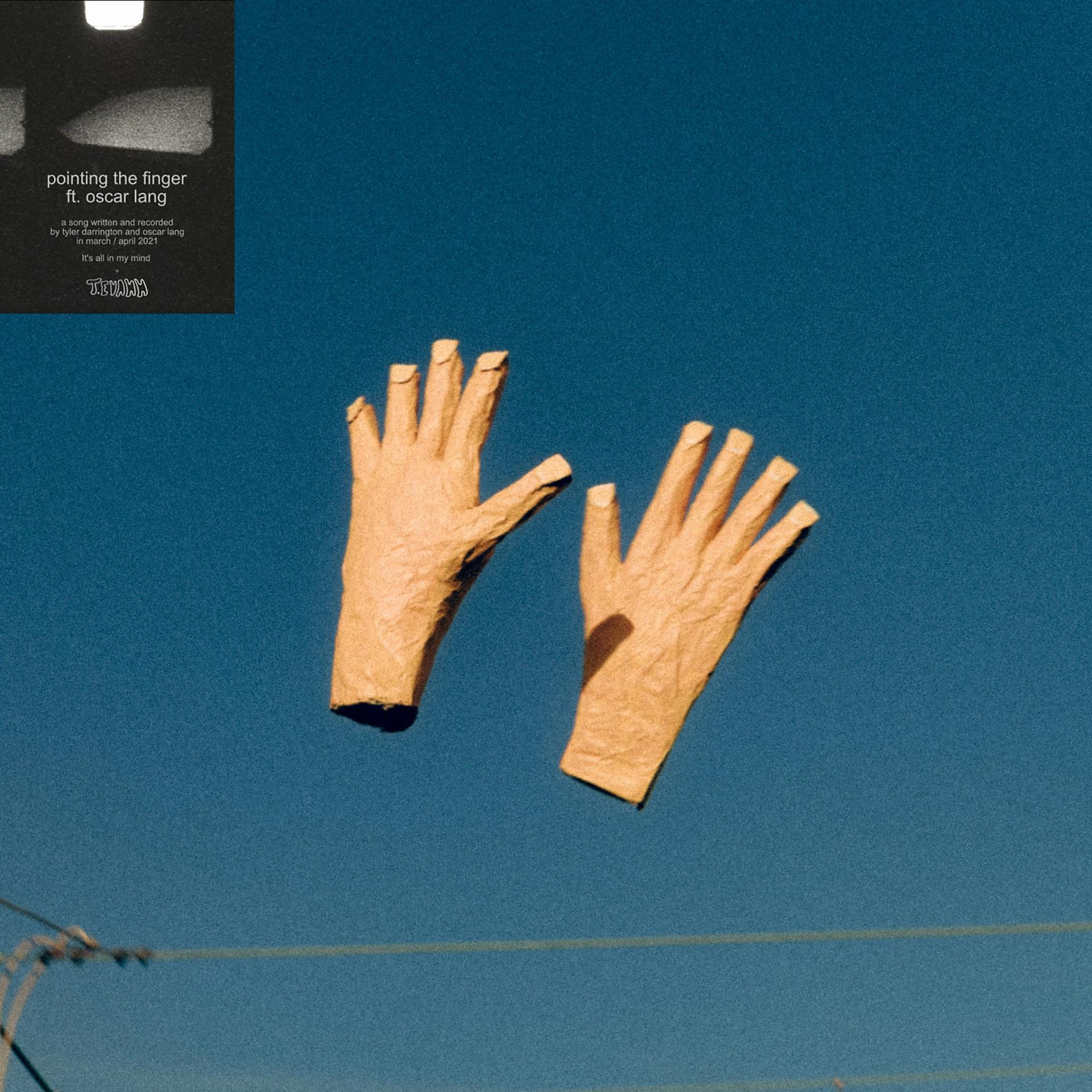 Постер альбома Pointing the Finger