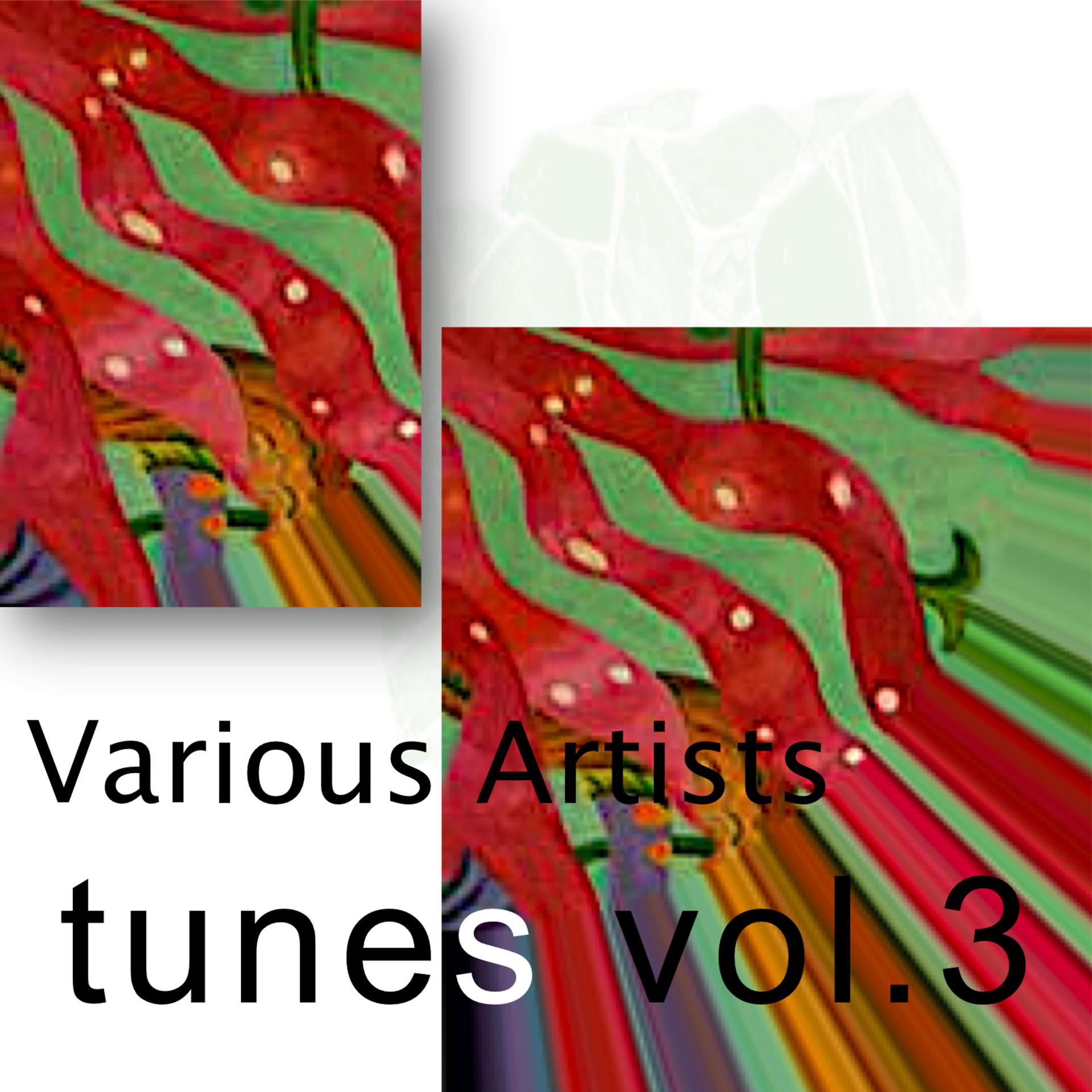 Постер альбома Tunes Vol.3