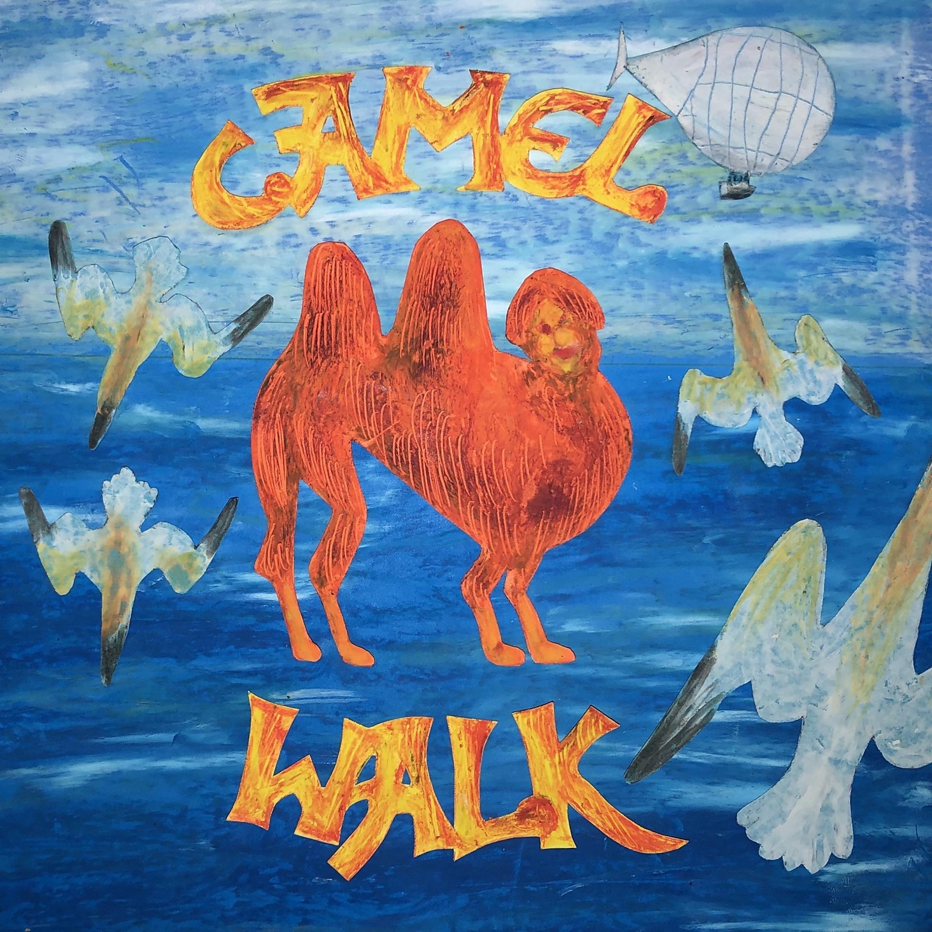 Постер альбома Camel Walk