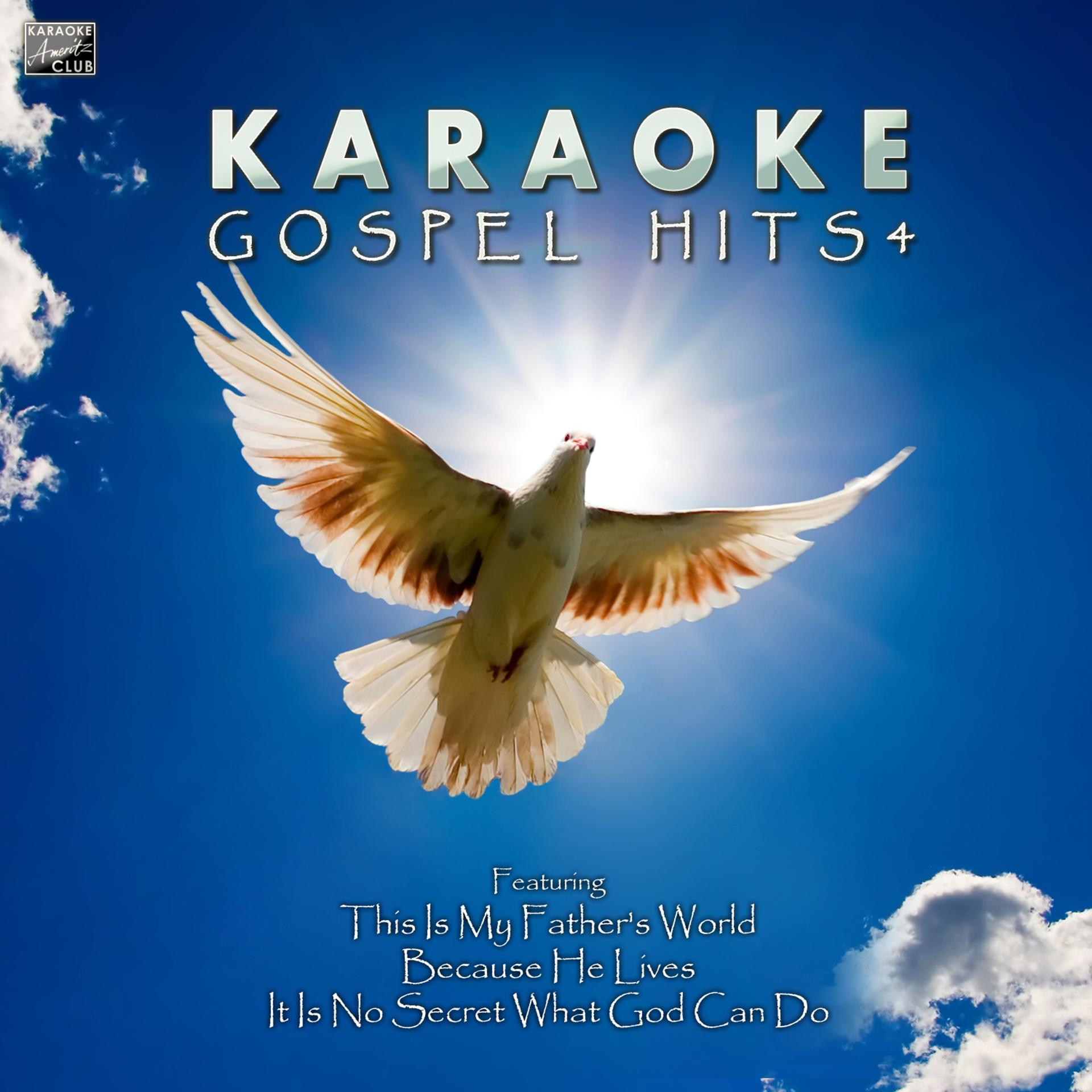Постер альбома Karaoke - Gospel Hits Vol. 4