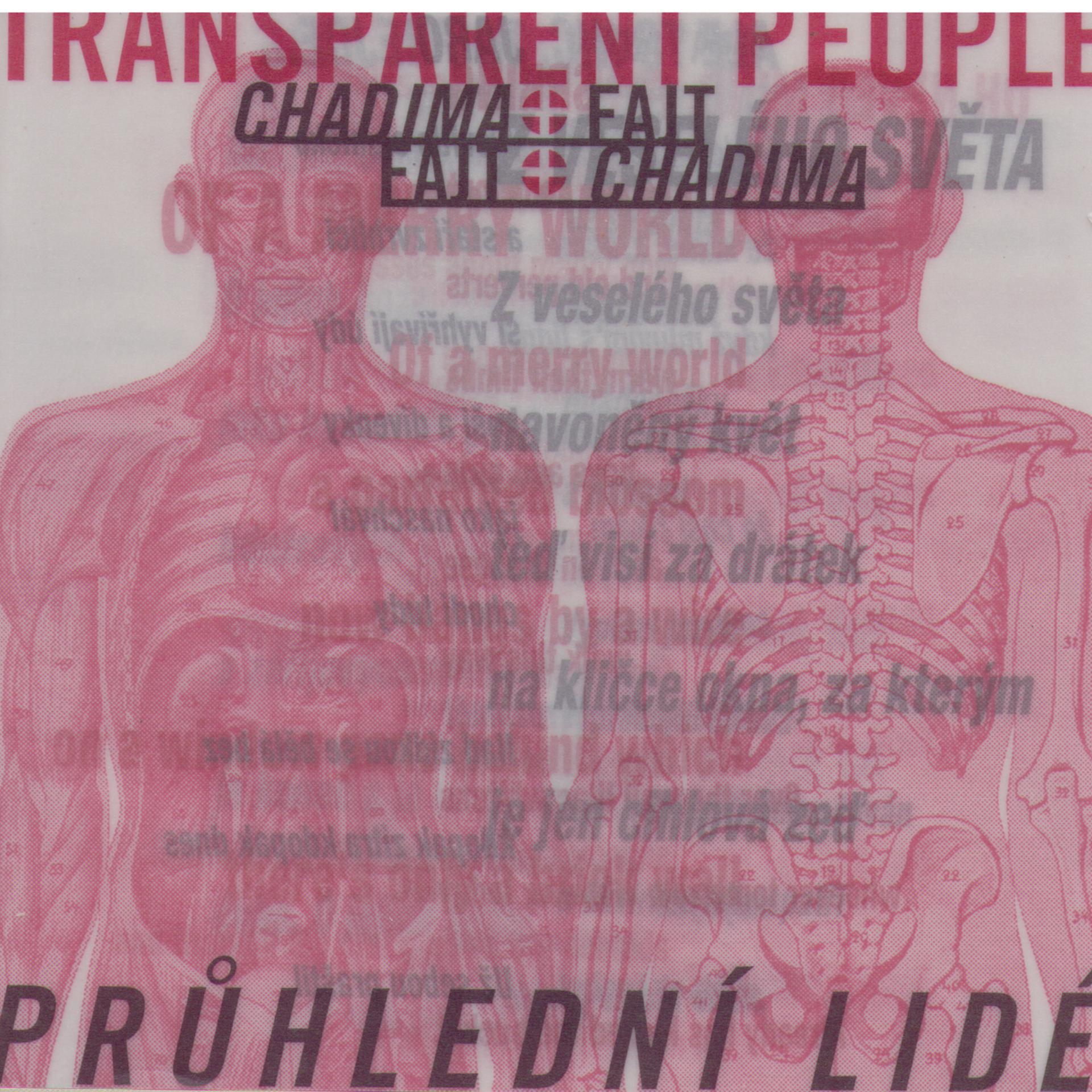 Постер альбома Pruhledni lide / Transparent People