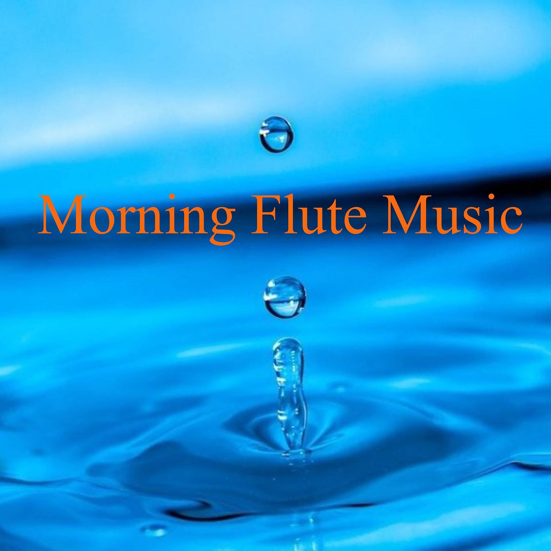 Постер альбома Morning Flute Music