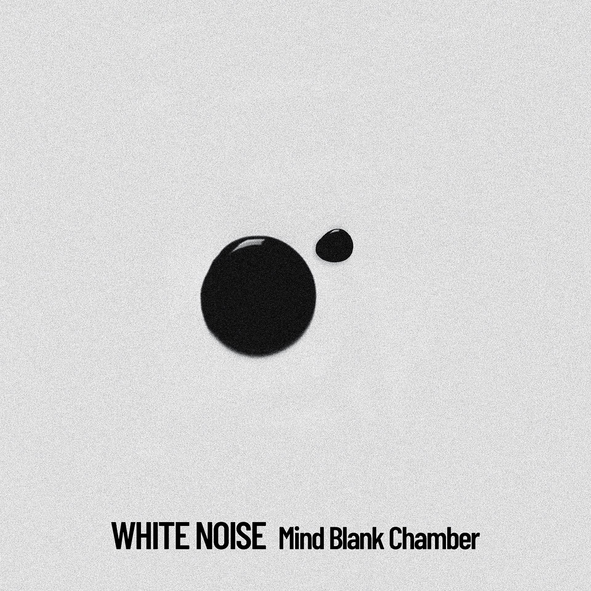 Постер альбома White Noise: Mind Blank Chamber