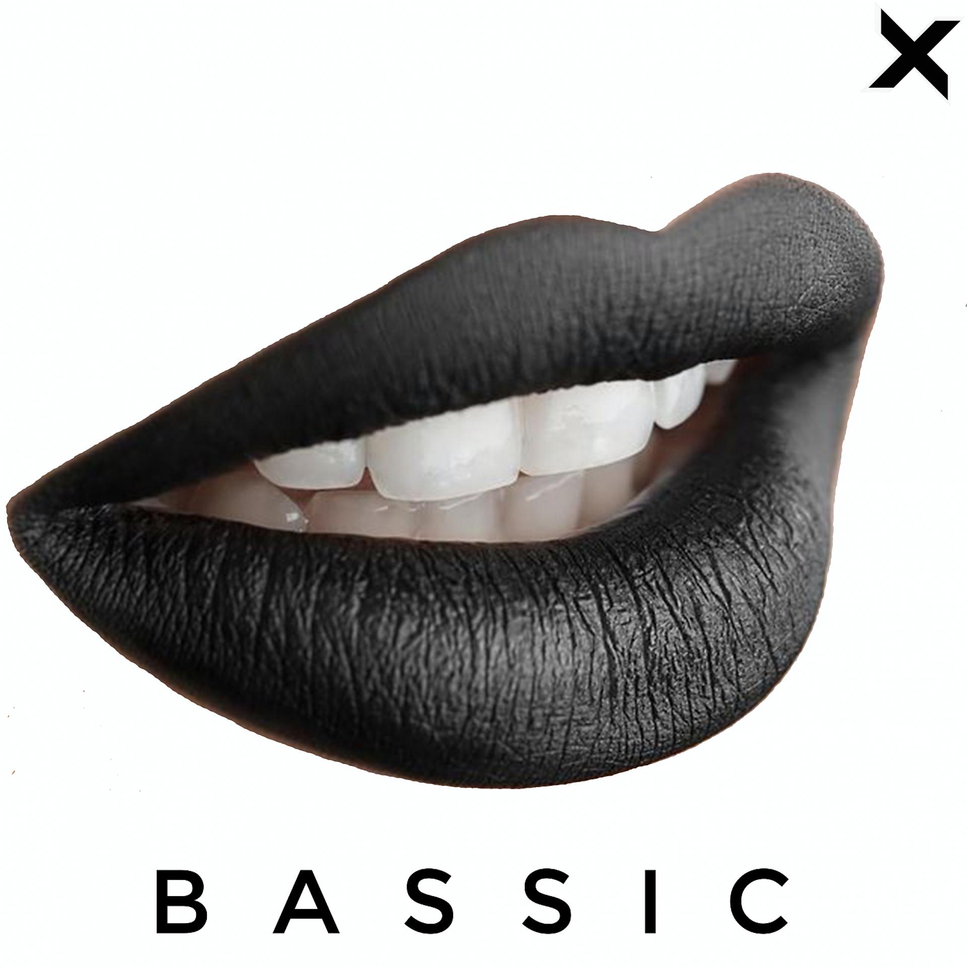 Постер альбома BASSIC (Xarxay Remix)