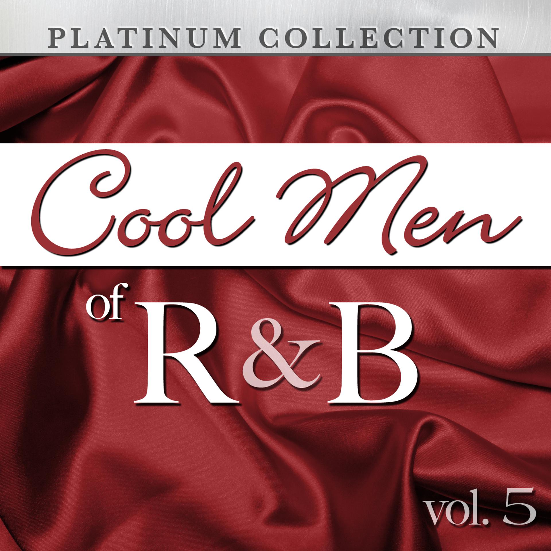 Постер альбома Cool Men of R&B, Vol. 5