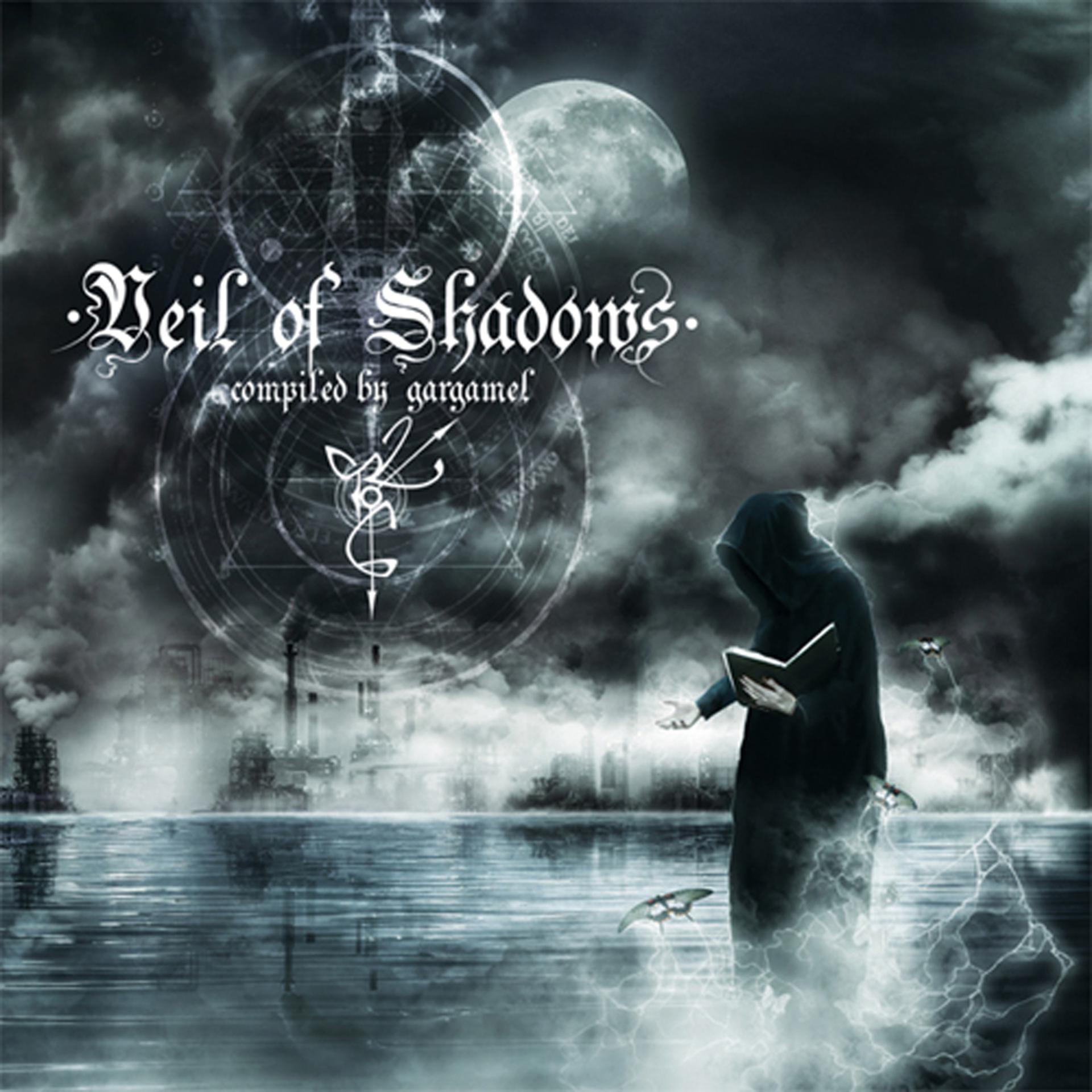 Постер альбома 2to6 Records presents Veil of Shadows