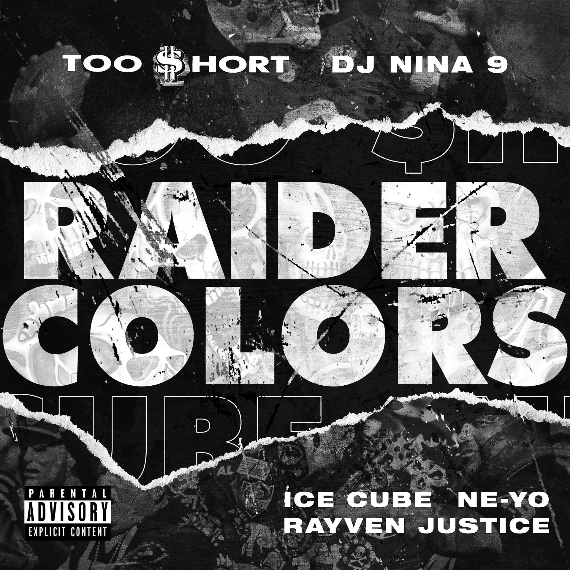 Постер альбома Raider Colors (feat. DJ Nina 9 & Rayven Justice)