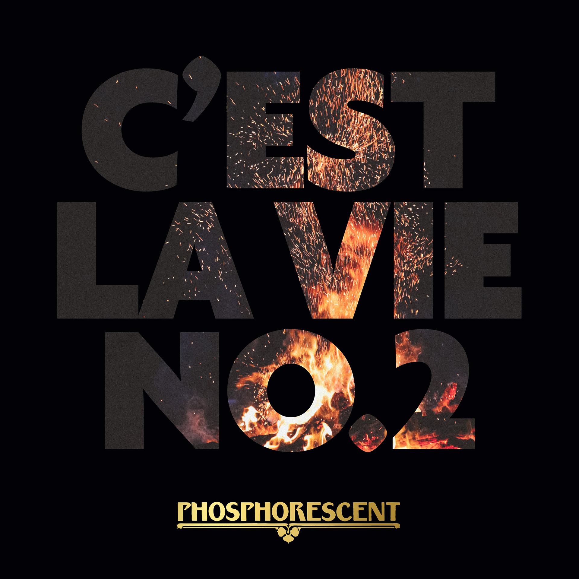 Постер альбома C'est La Vie No.2
