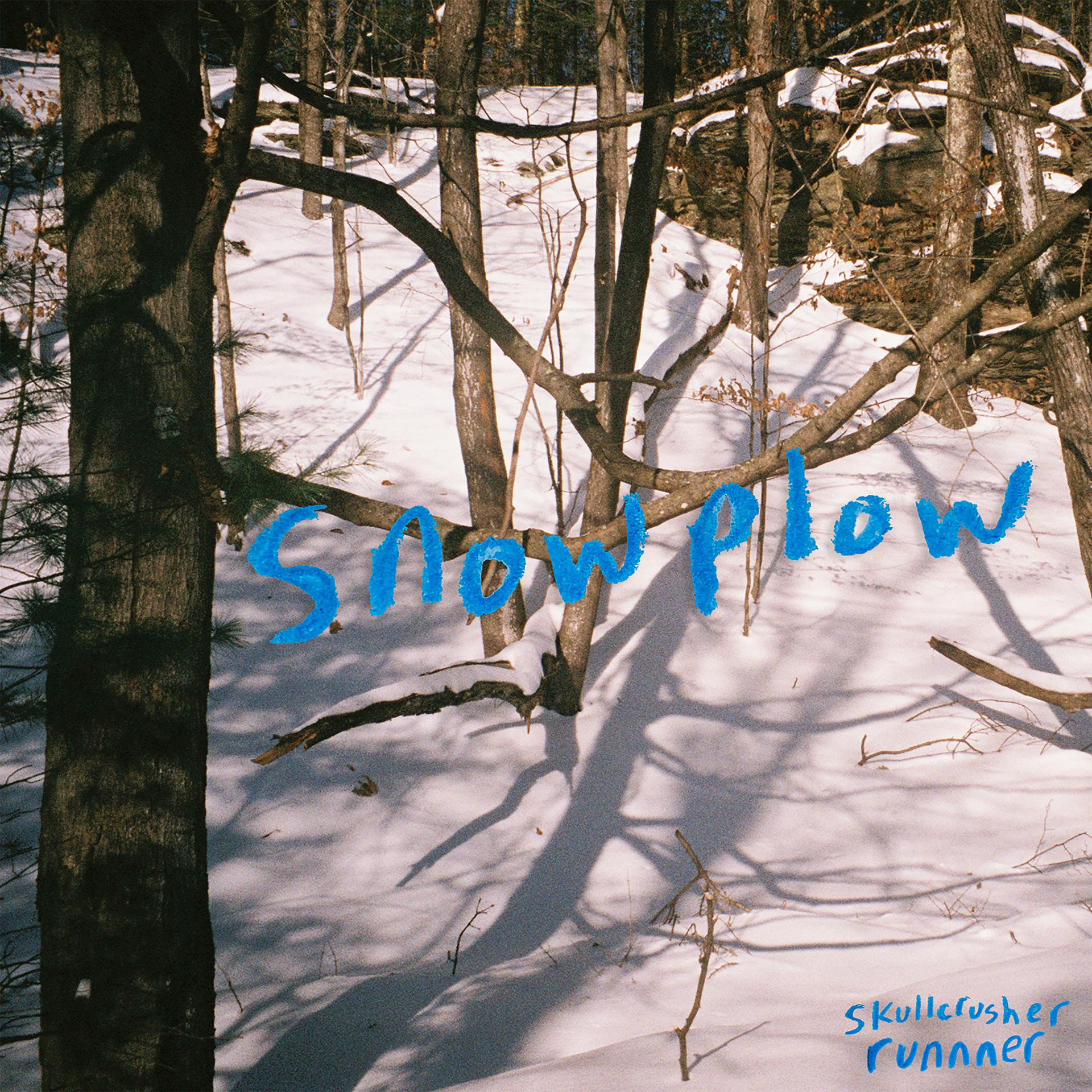 Постер альбома Snowplow