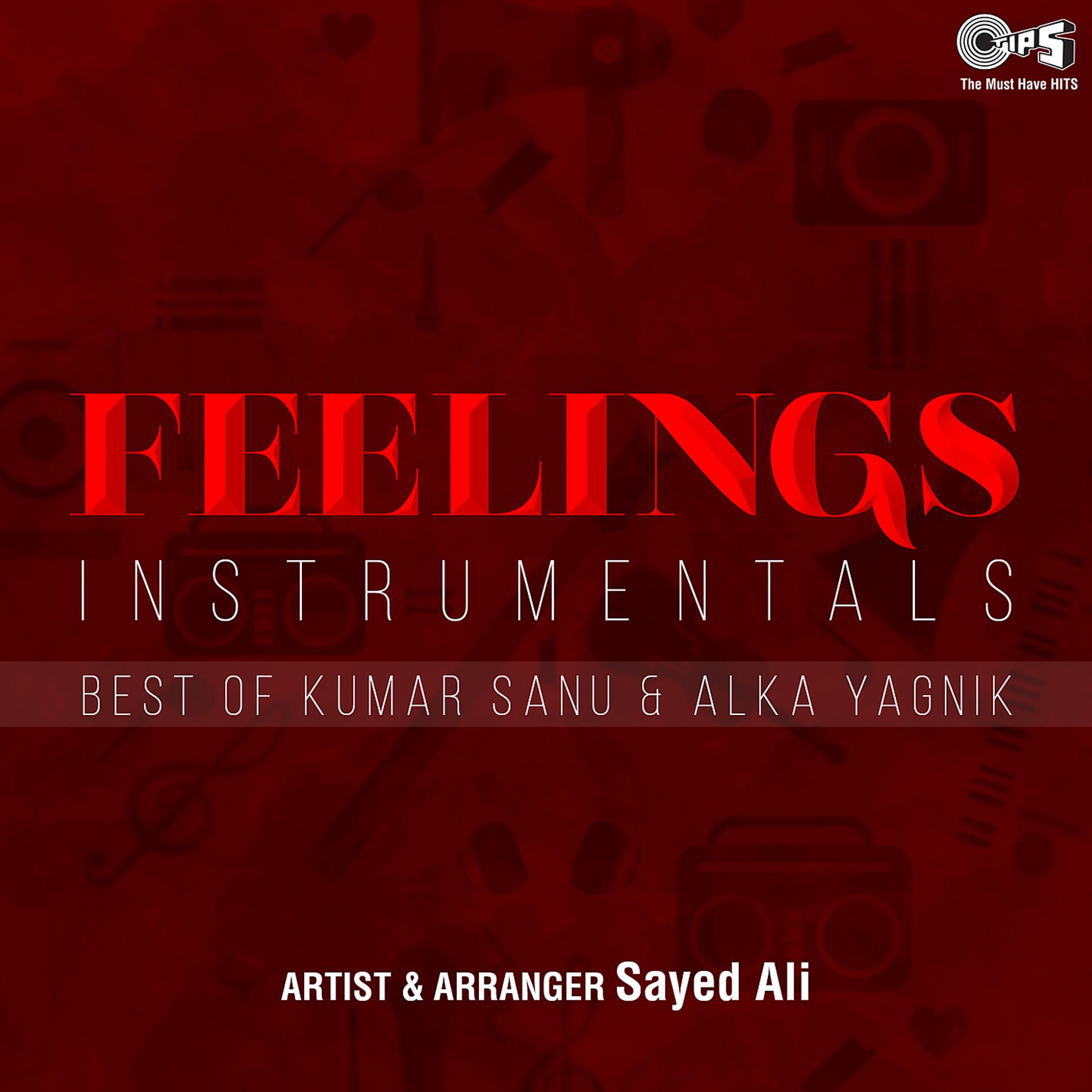 Постер альбома Feelings Instrumentals: Best Of Kumar Sanu & Alka Yagnik