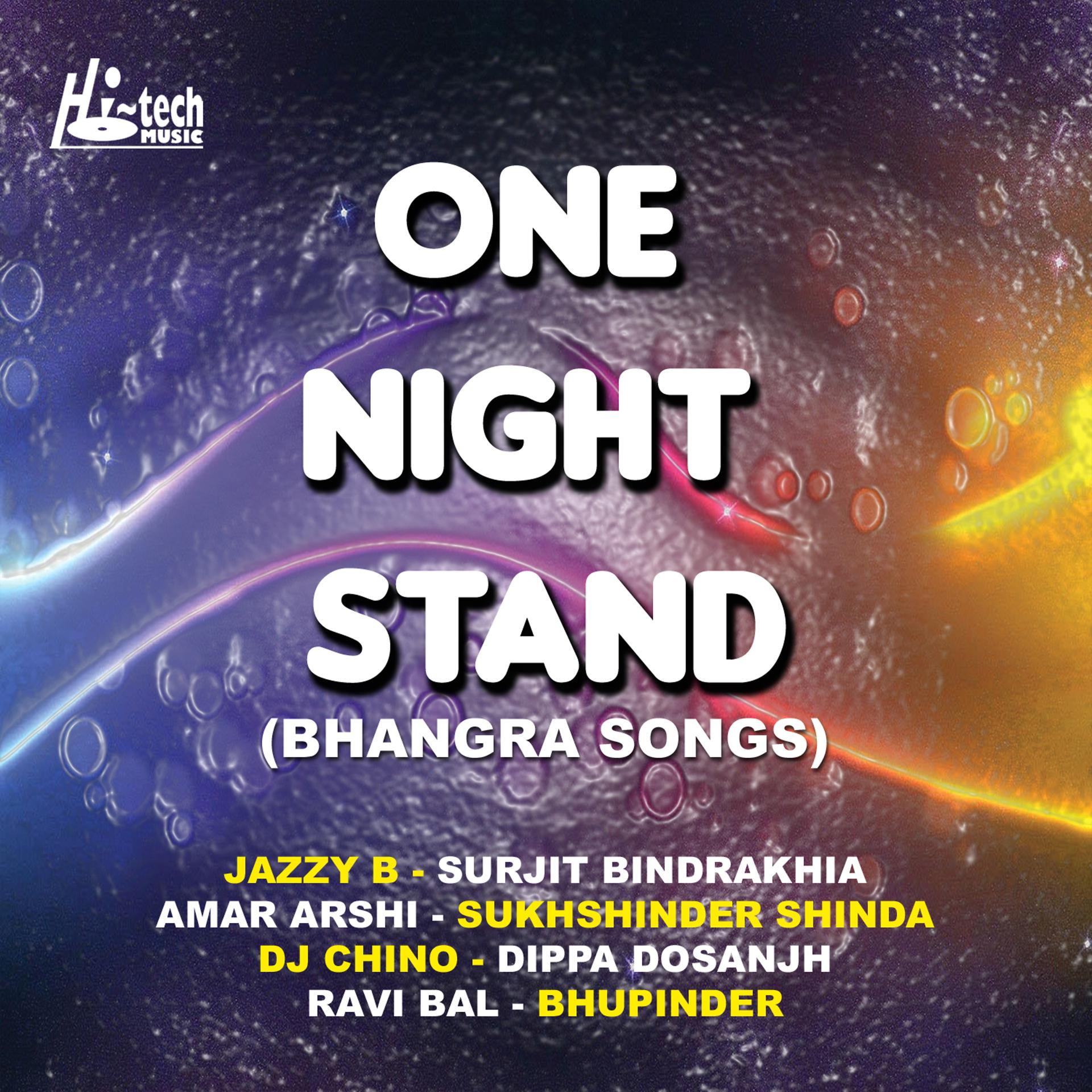 Постер альбома One Night Stand (Bhangra Songs)