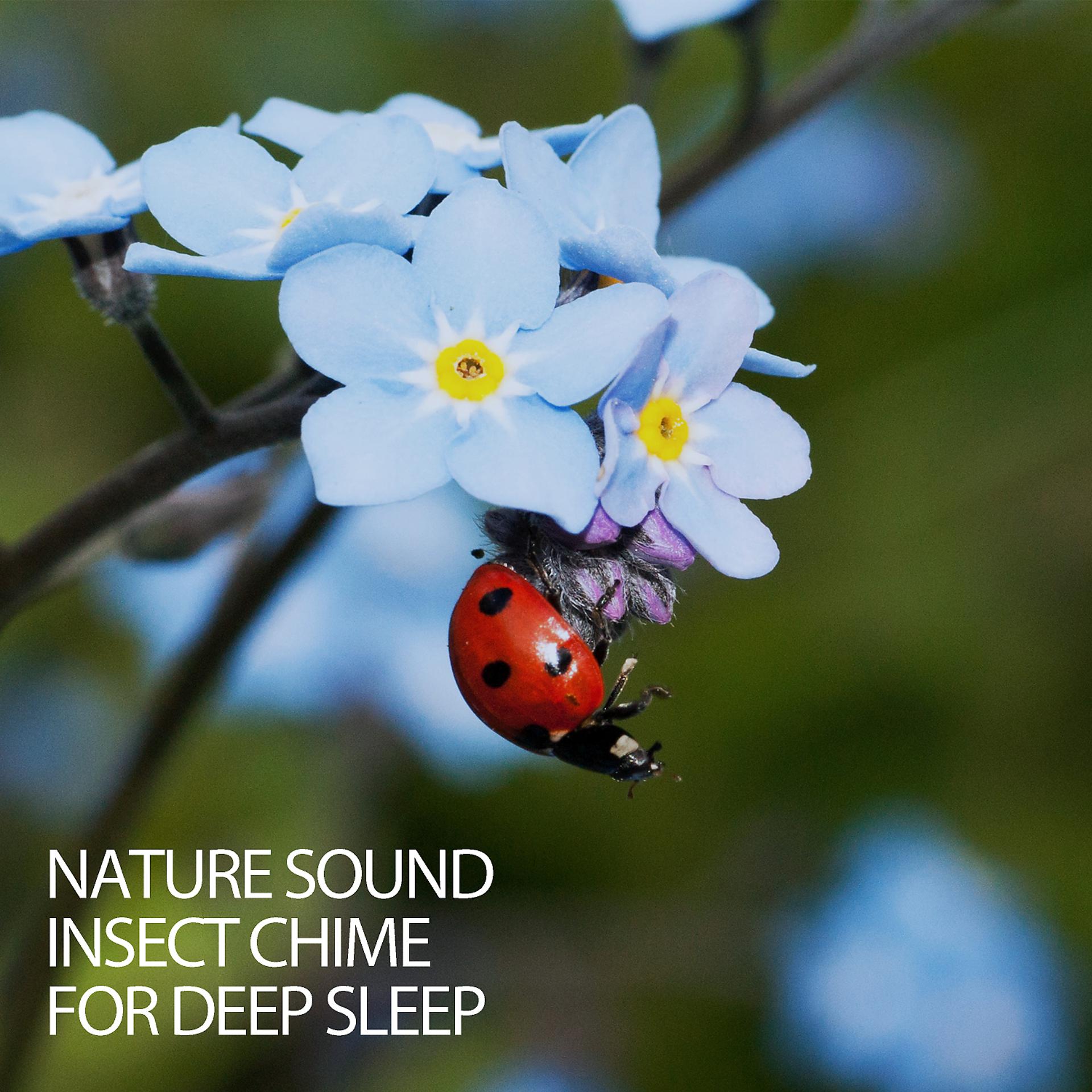 Постер альбома Nature Sound Insect Chime For Deep Sleep