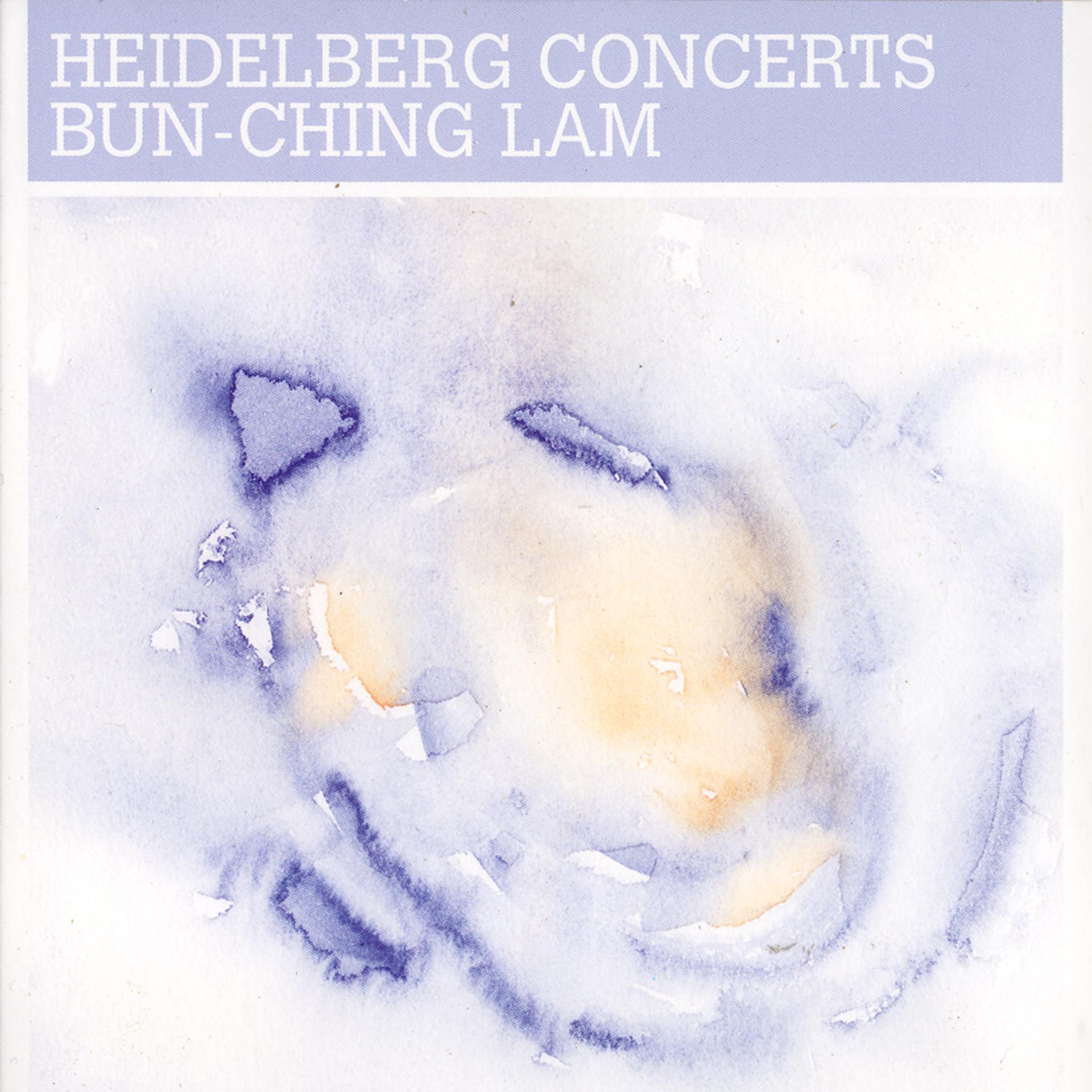 Постер альбома Heidelberg Concerts