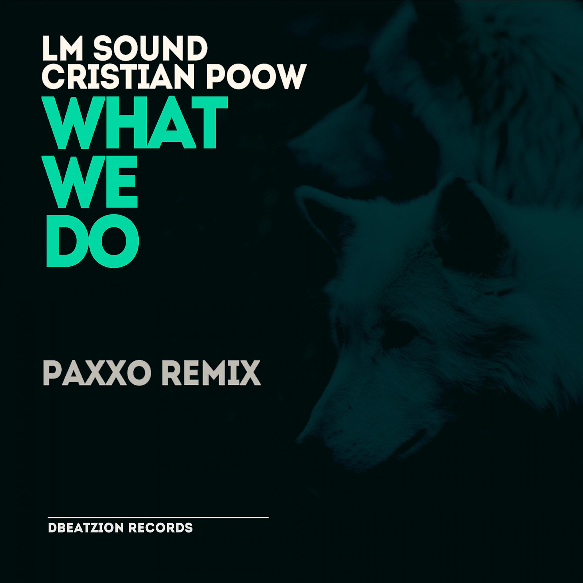 Постер альбома What We Do (Paxxo Remix)