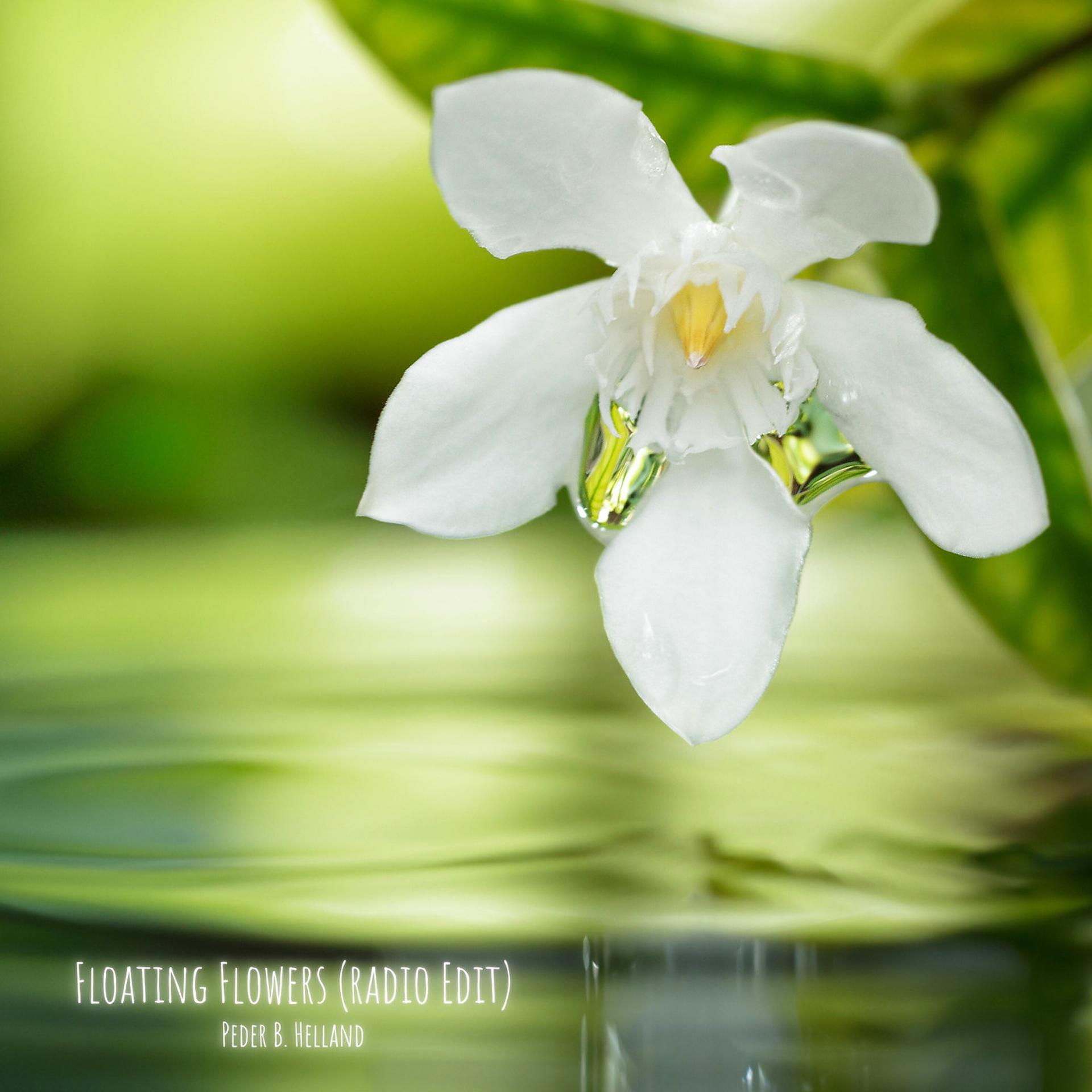 Постер альбома Floating Flowers (Radio Edit)